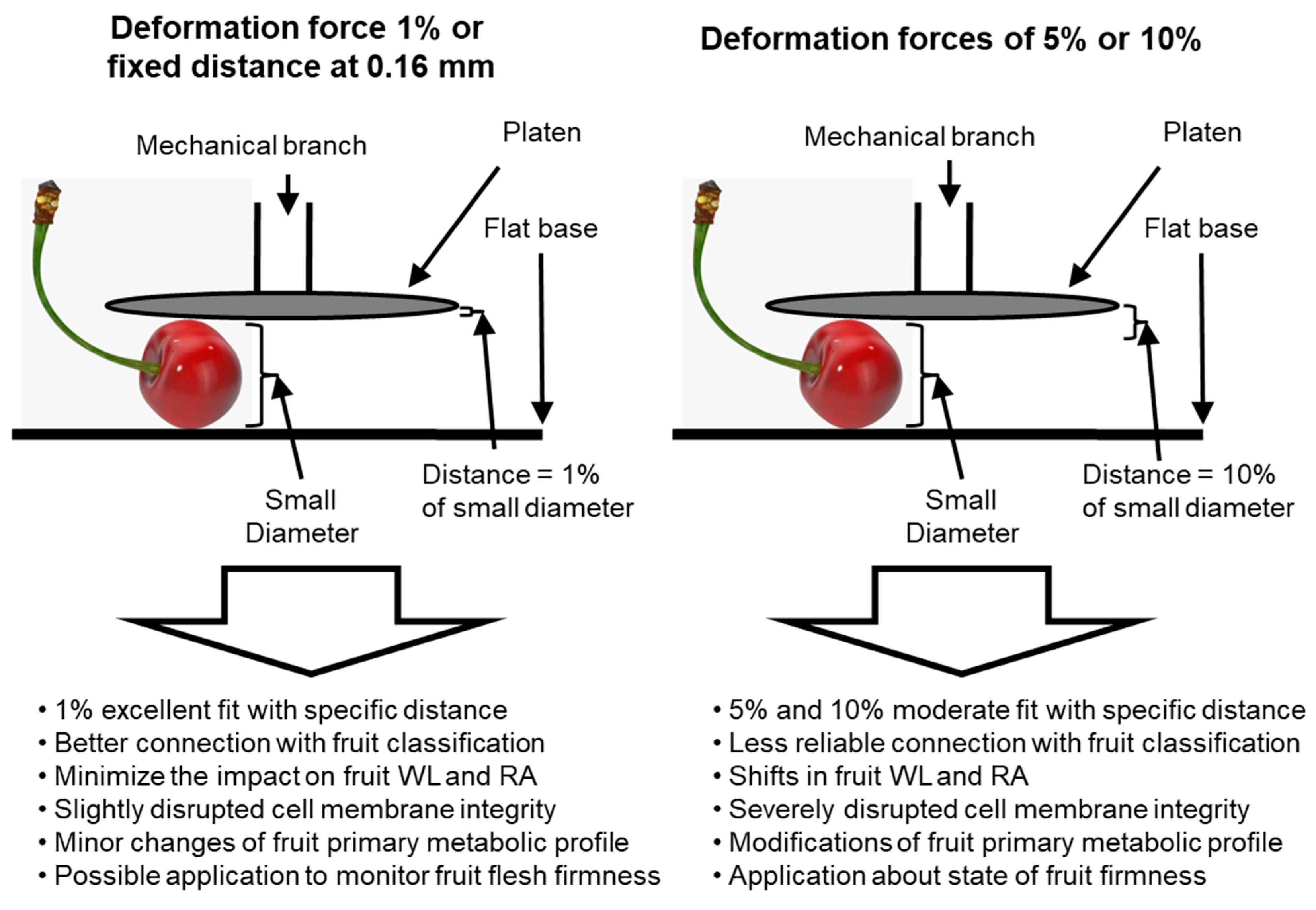 Horticulturae 10 00435 g005