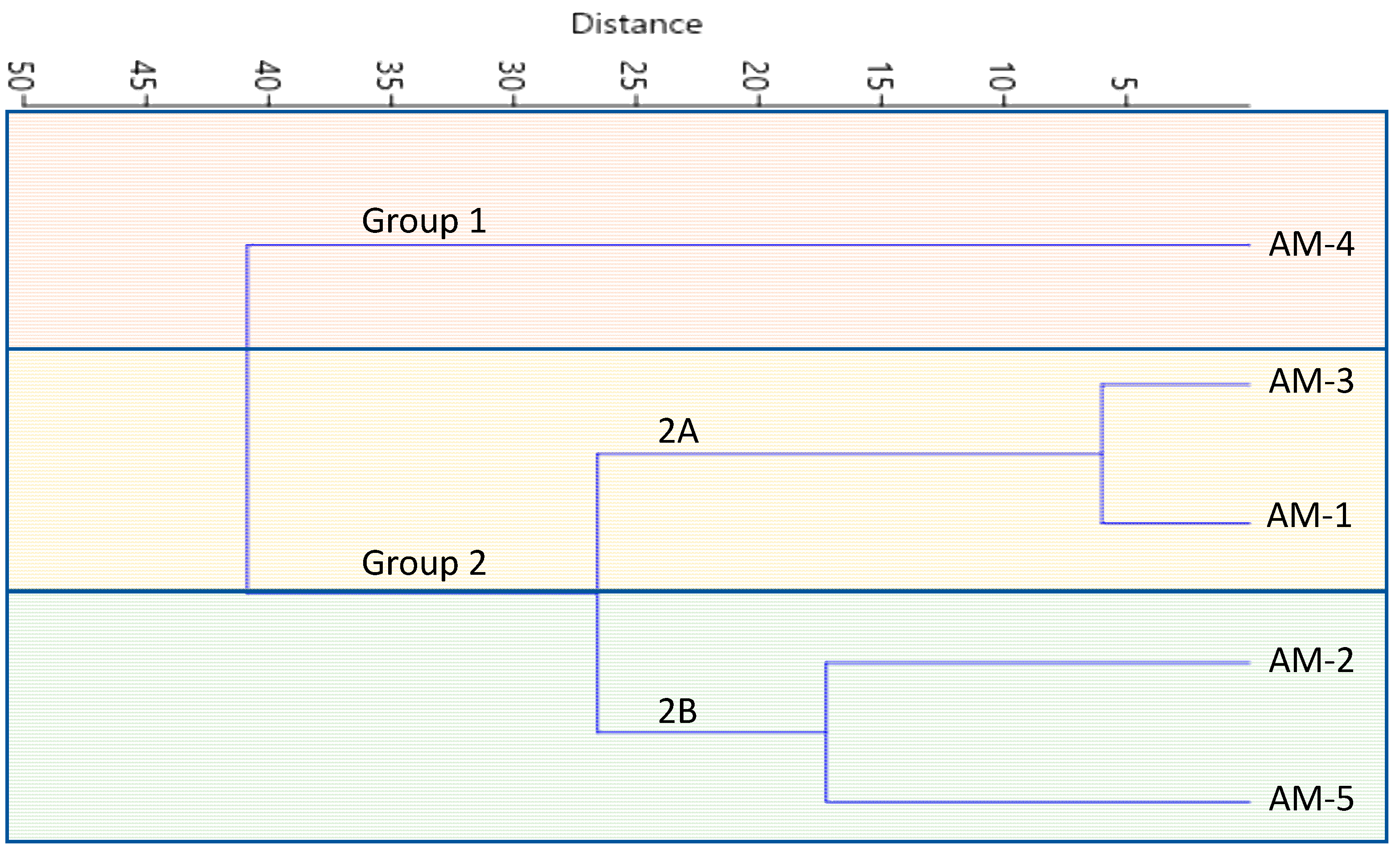 Horticulturae 10 00461 g006 Horticulturae 10 00461 g006