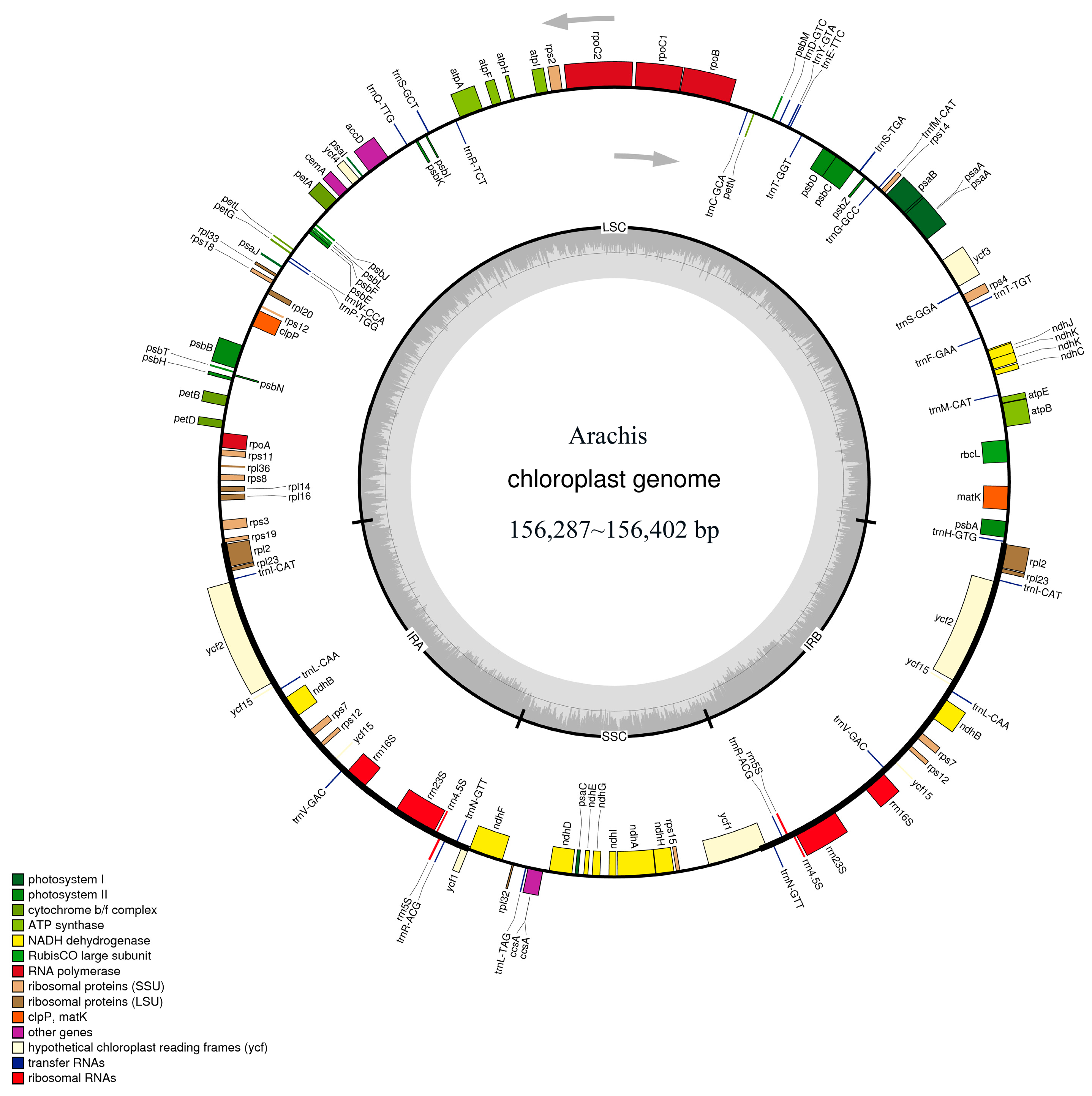 Horticulturae 10 00464 g001