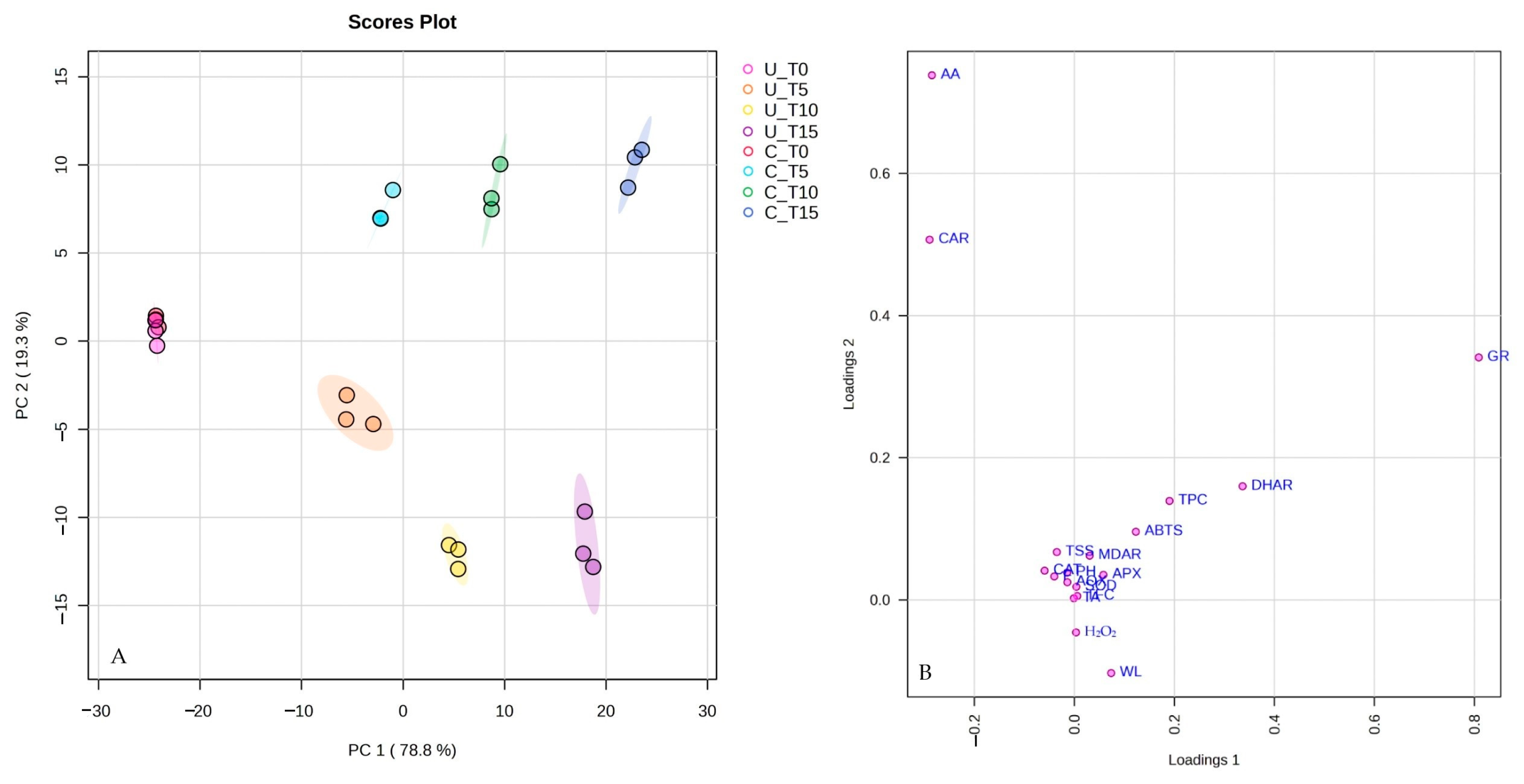 Horticulturae 10 00465 g005