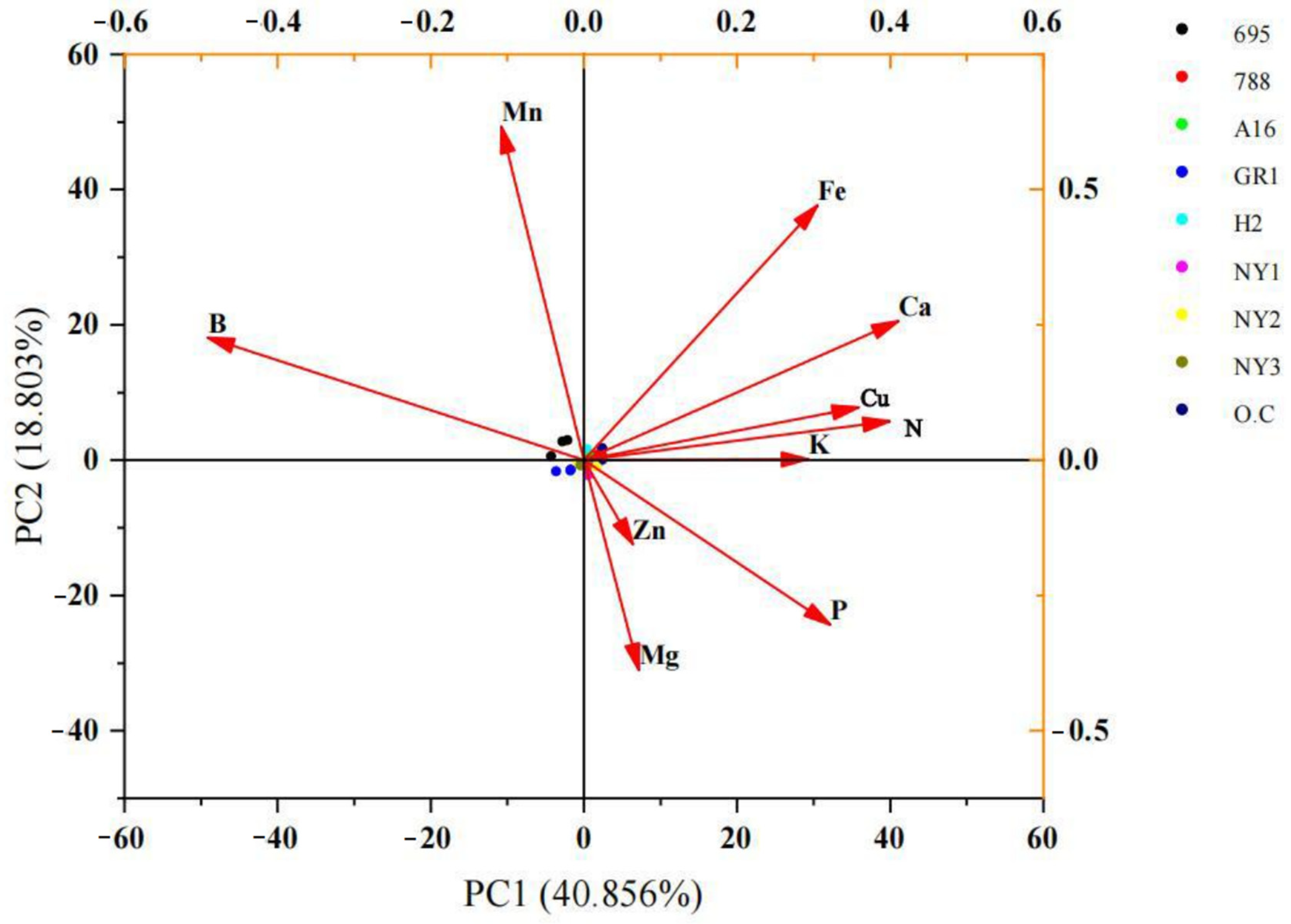 Horticulturae 10 00468 g002