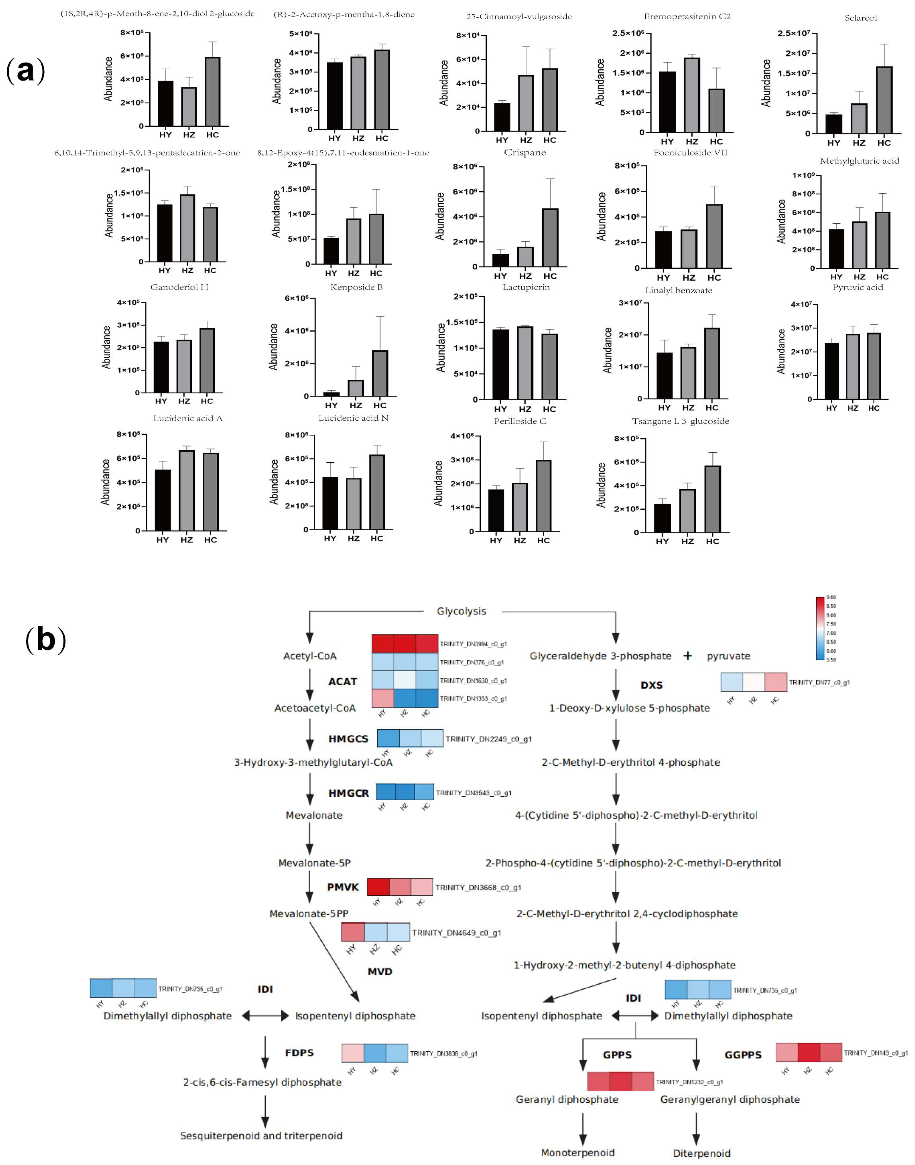 Horticulturae 10 00469 g005 Horticulturae 10 00469 g005