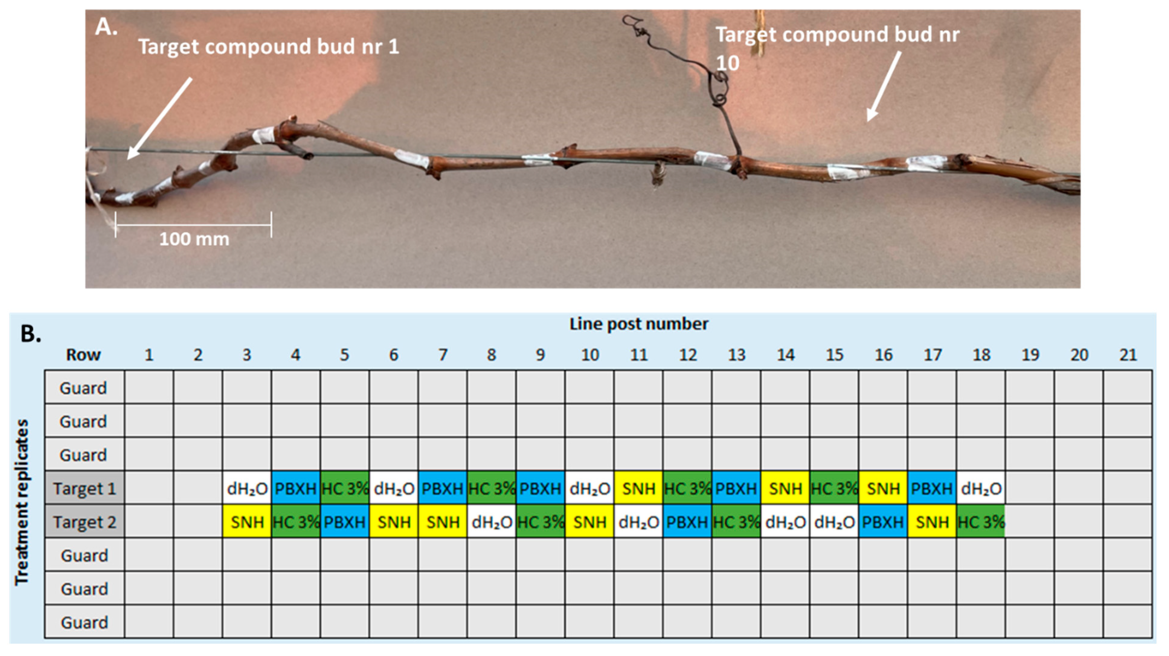 Horticulturae 10 00471 g002 Horticulturae 10 00471 g002