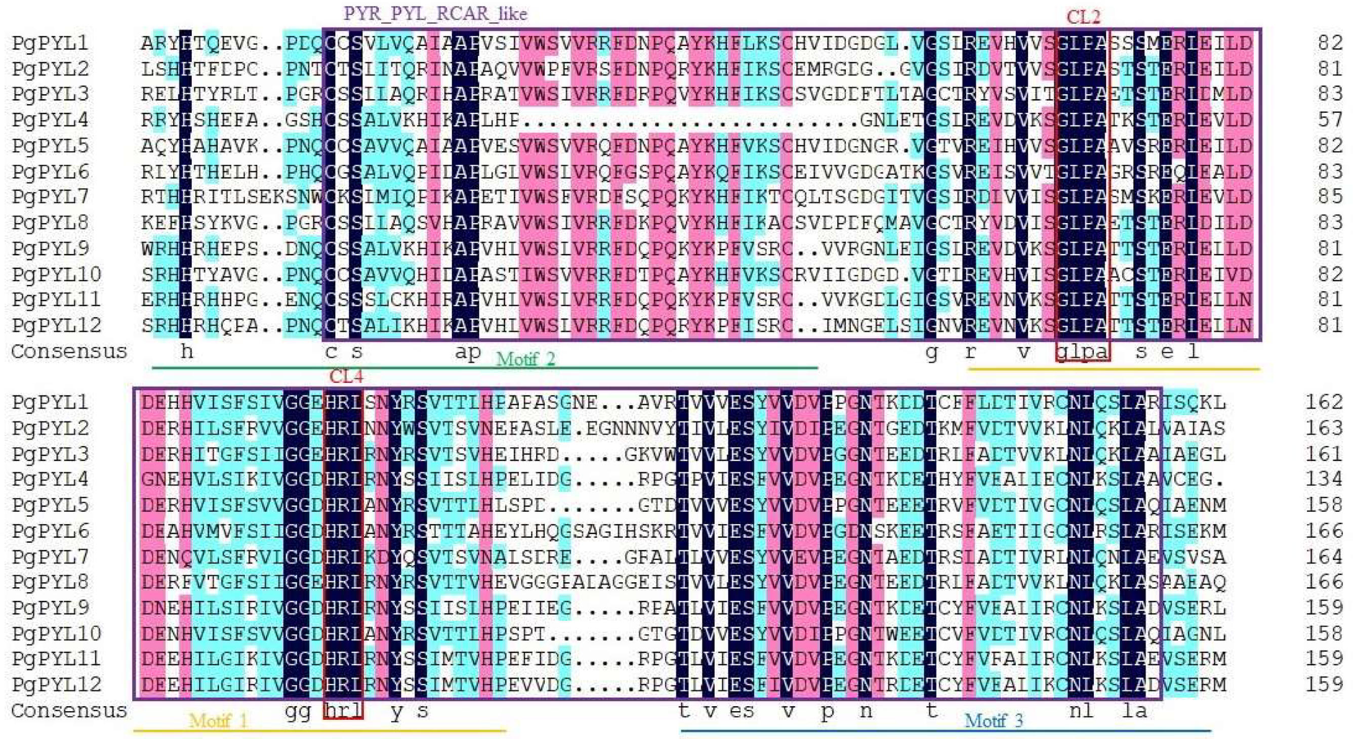 Horticulturae 10 00502 g003