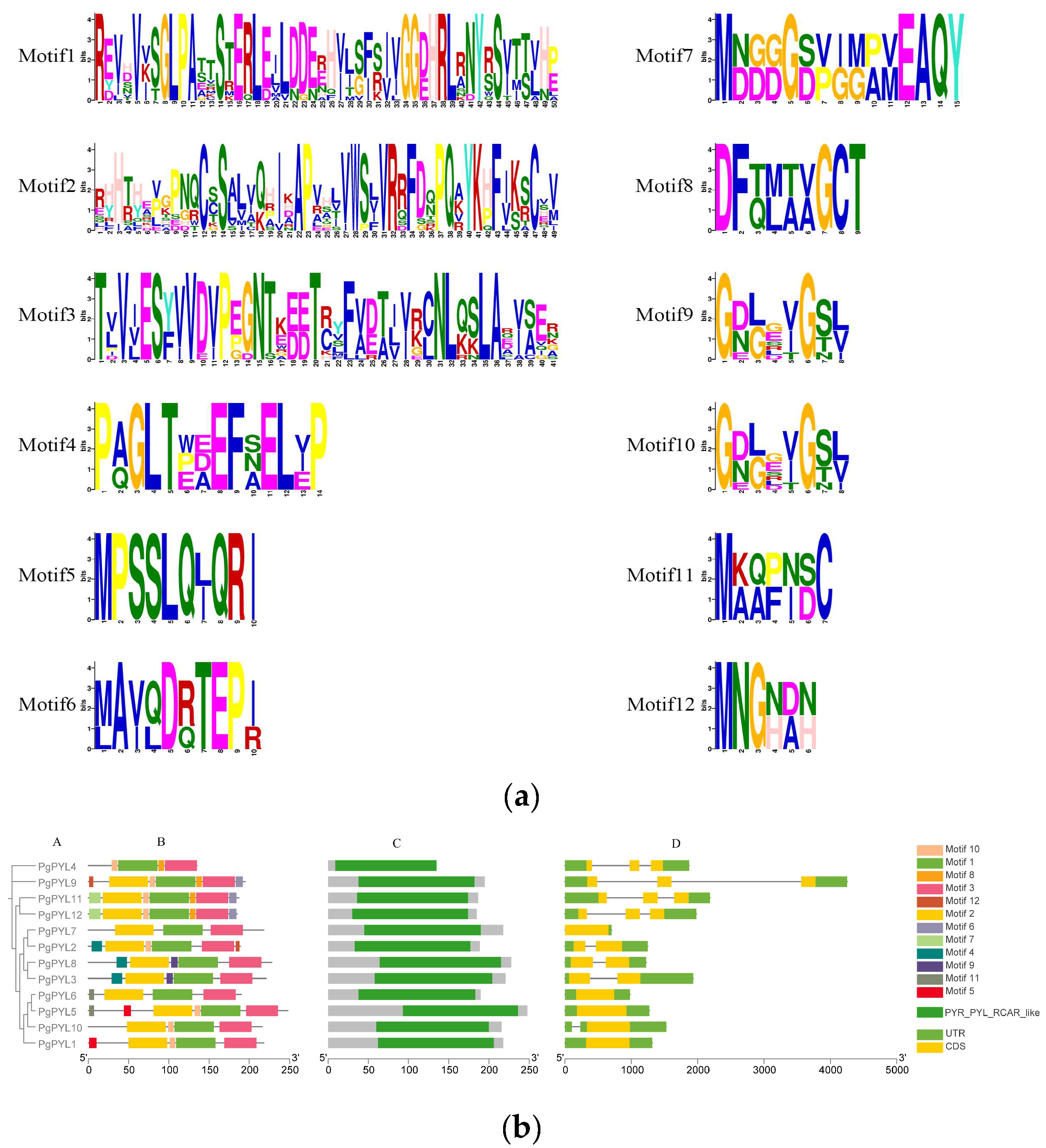 Horticulturae 10 00502 g004