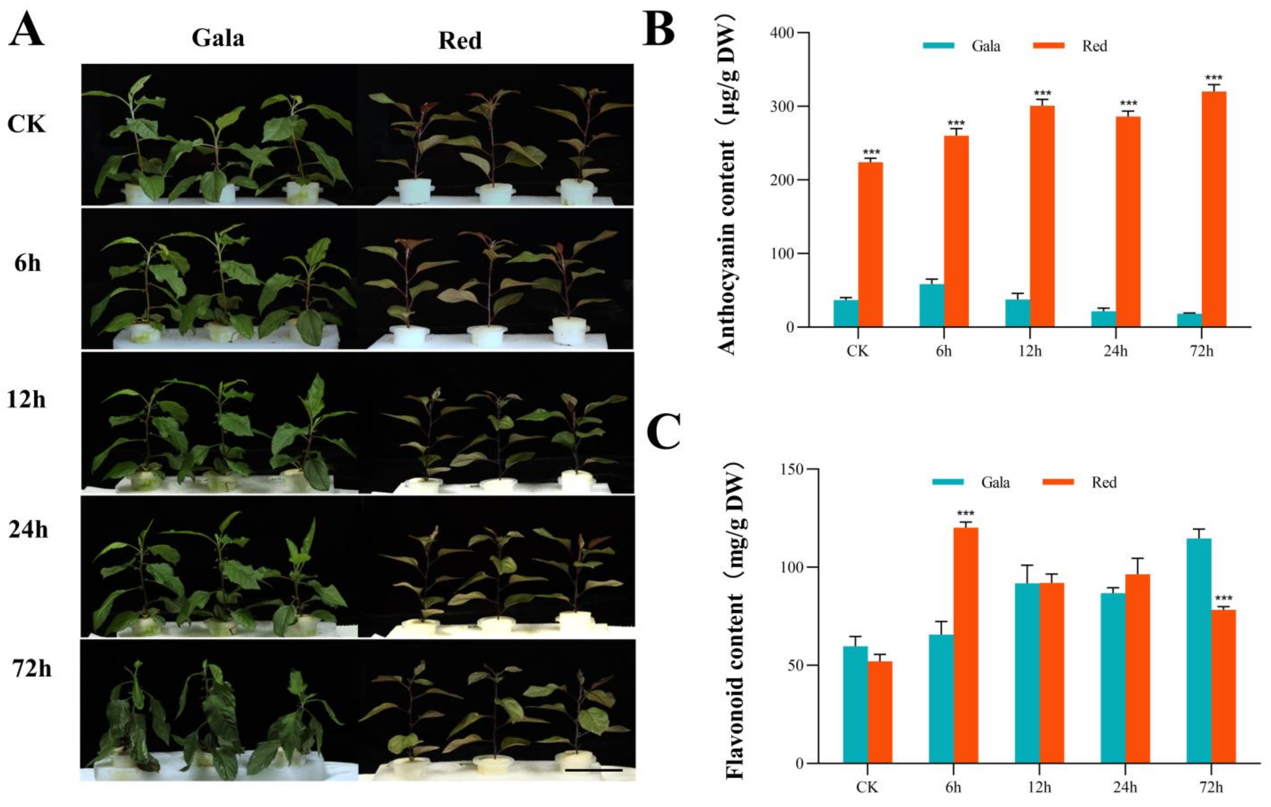 Horticulturae 10 00510 g001