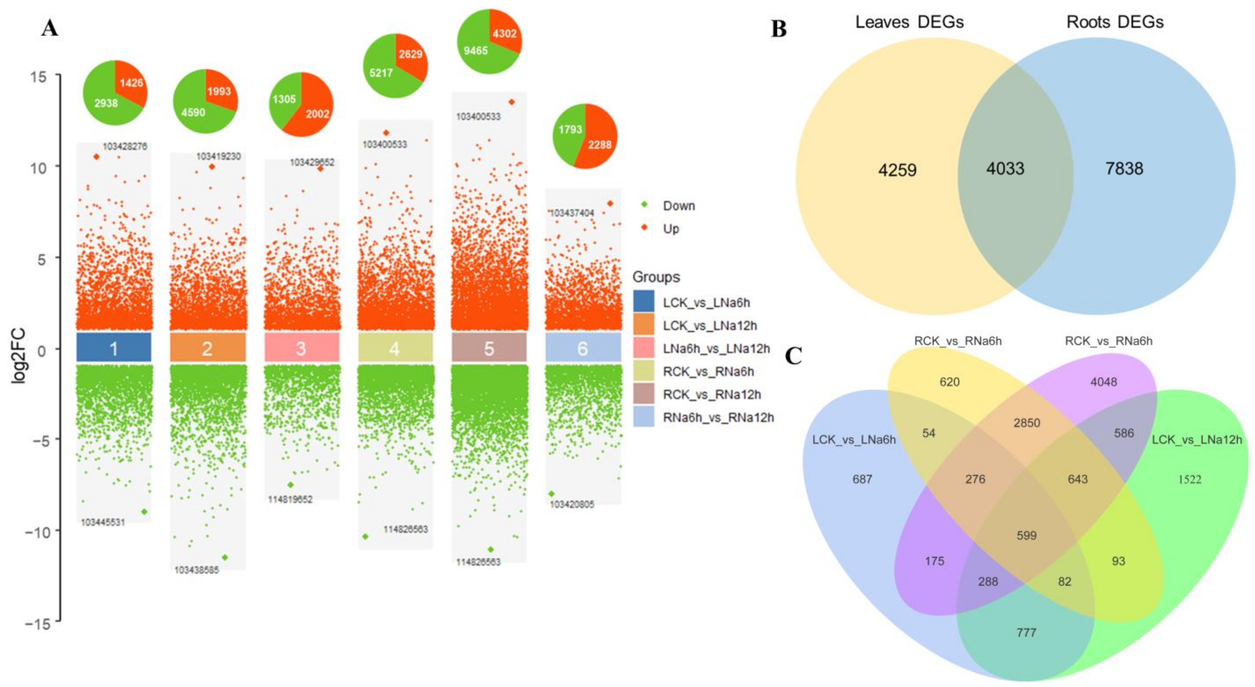 Horticulturae 10 00510 g004