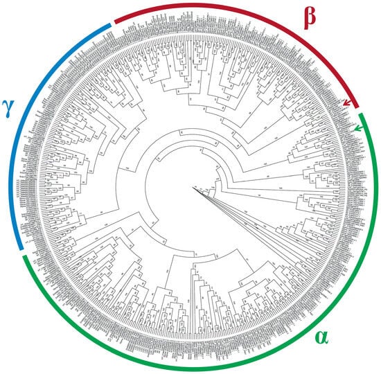 Horticulturae | Free Full-Text | Regulatory Mechanisms of Pollen ...