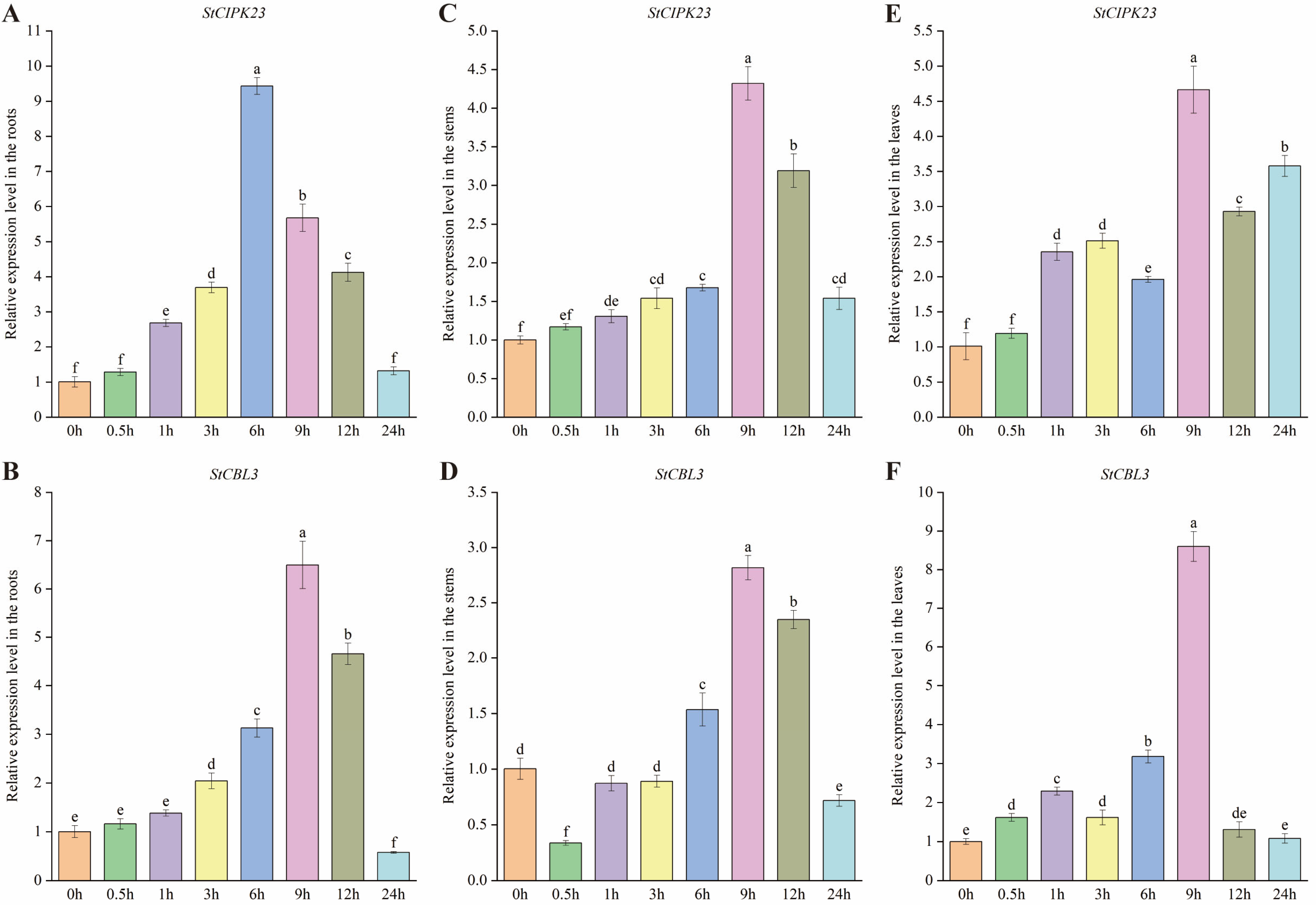 Horticulturae 10 00526 g006