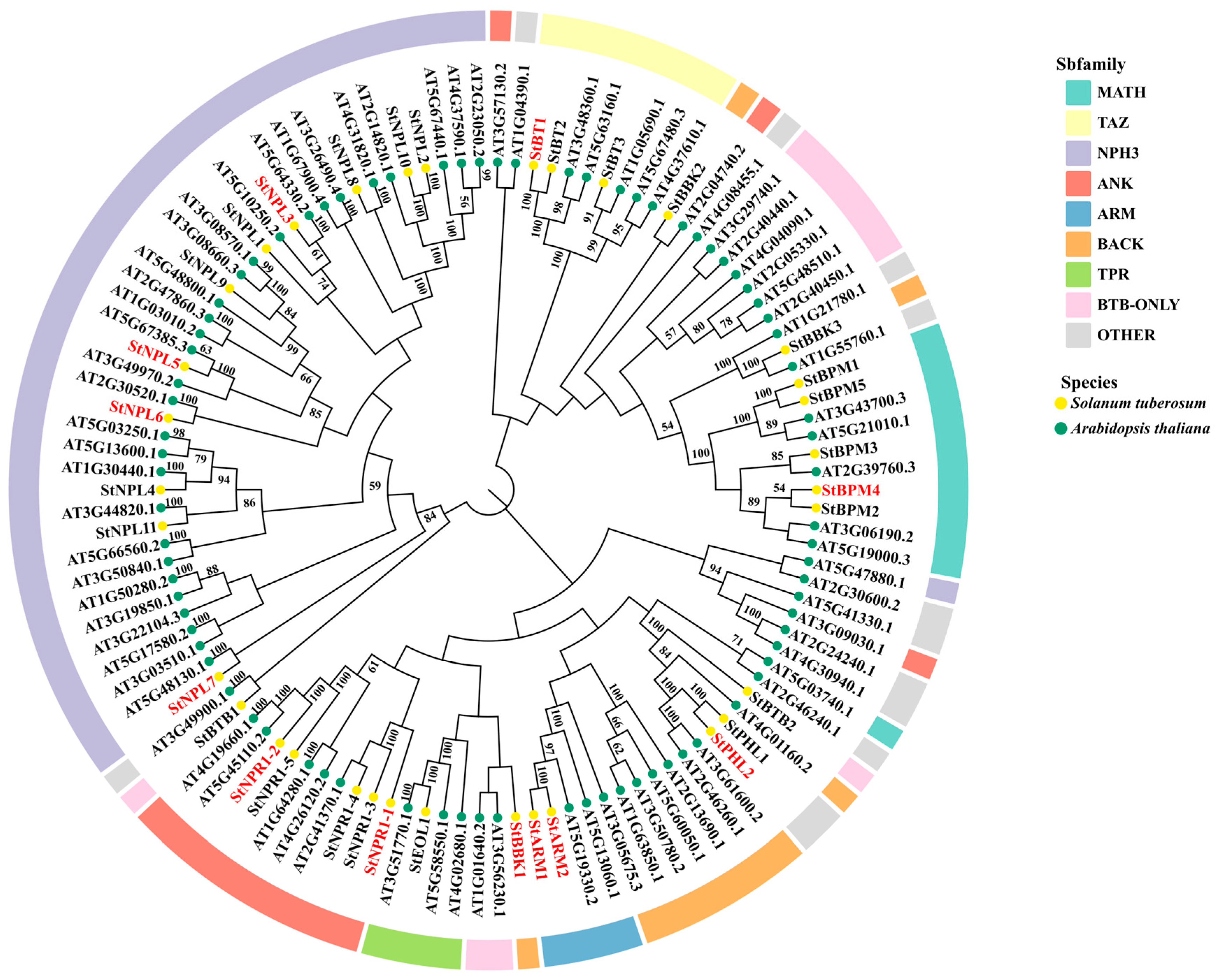Horticulturae 10 00543 g001