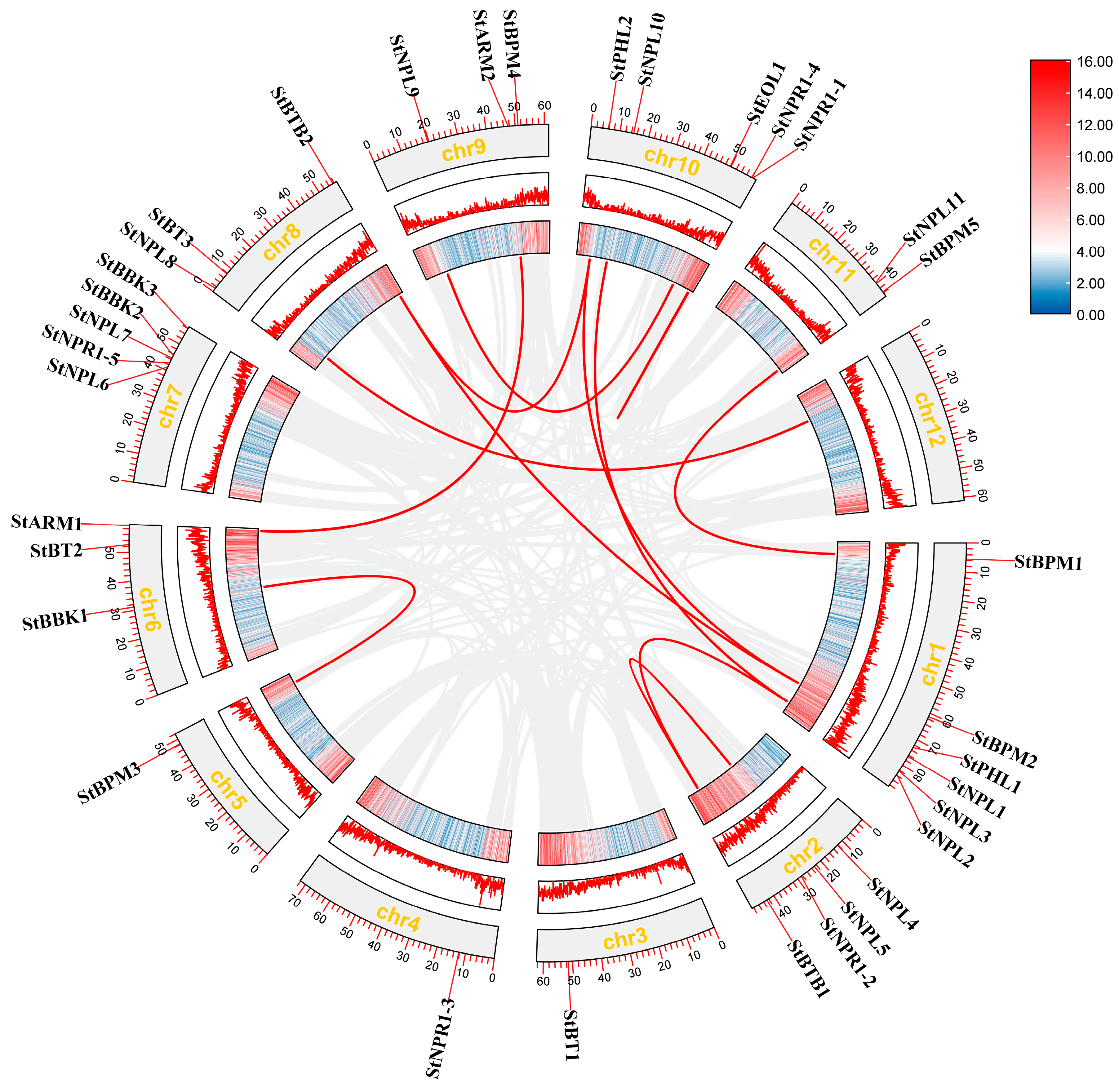 Horticulturae 10 00543 g005
