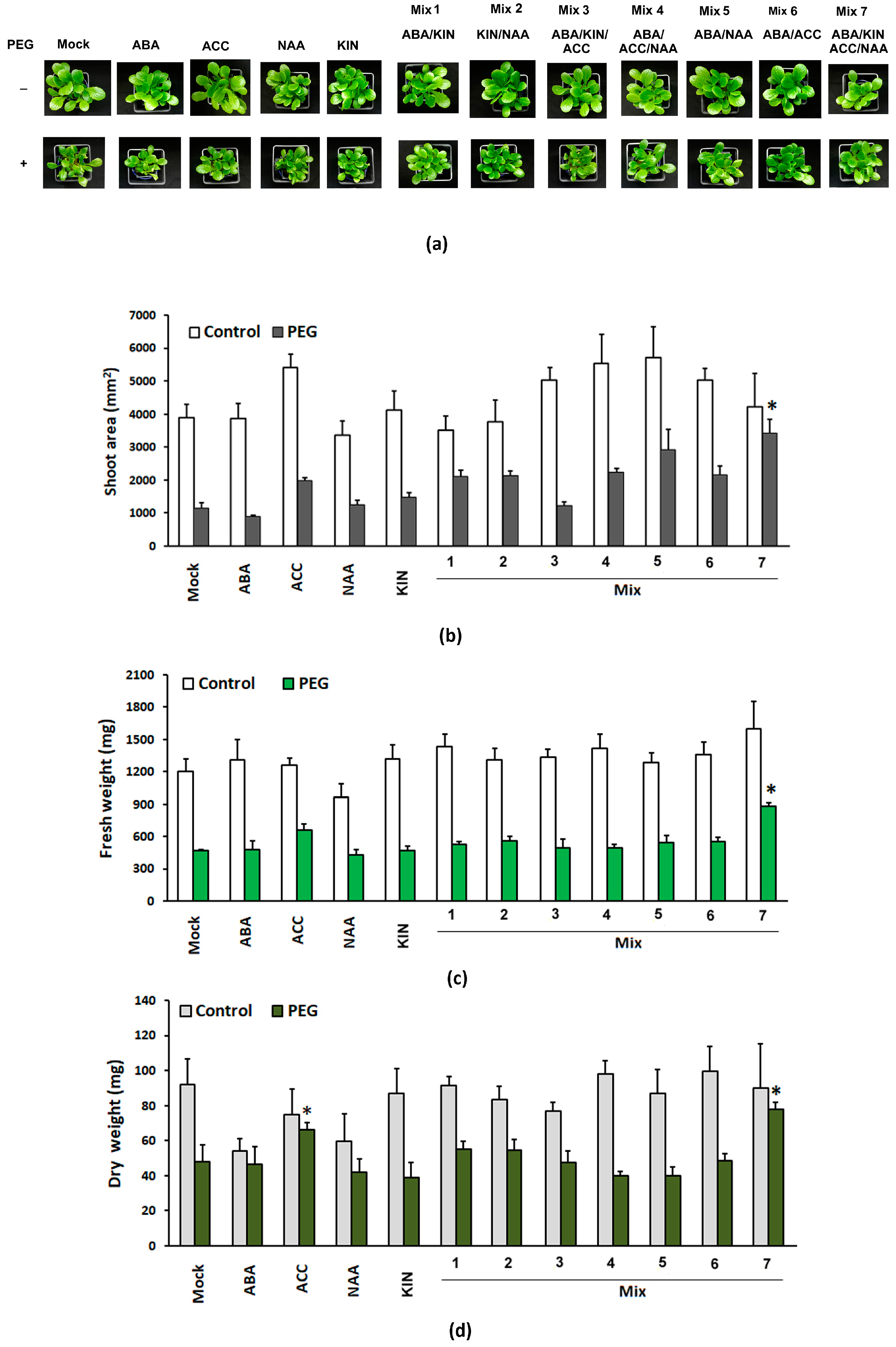 Horticulturae 10 00544 g001