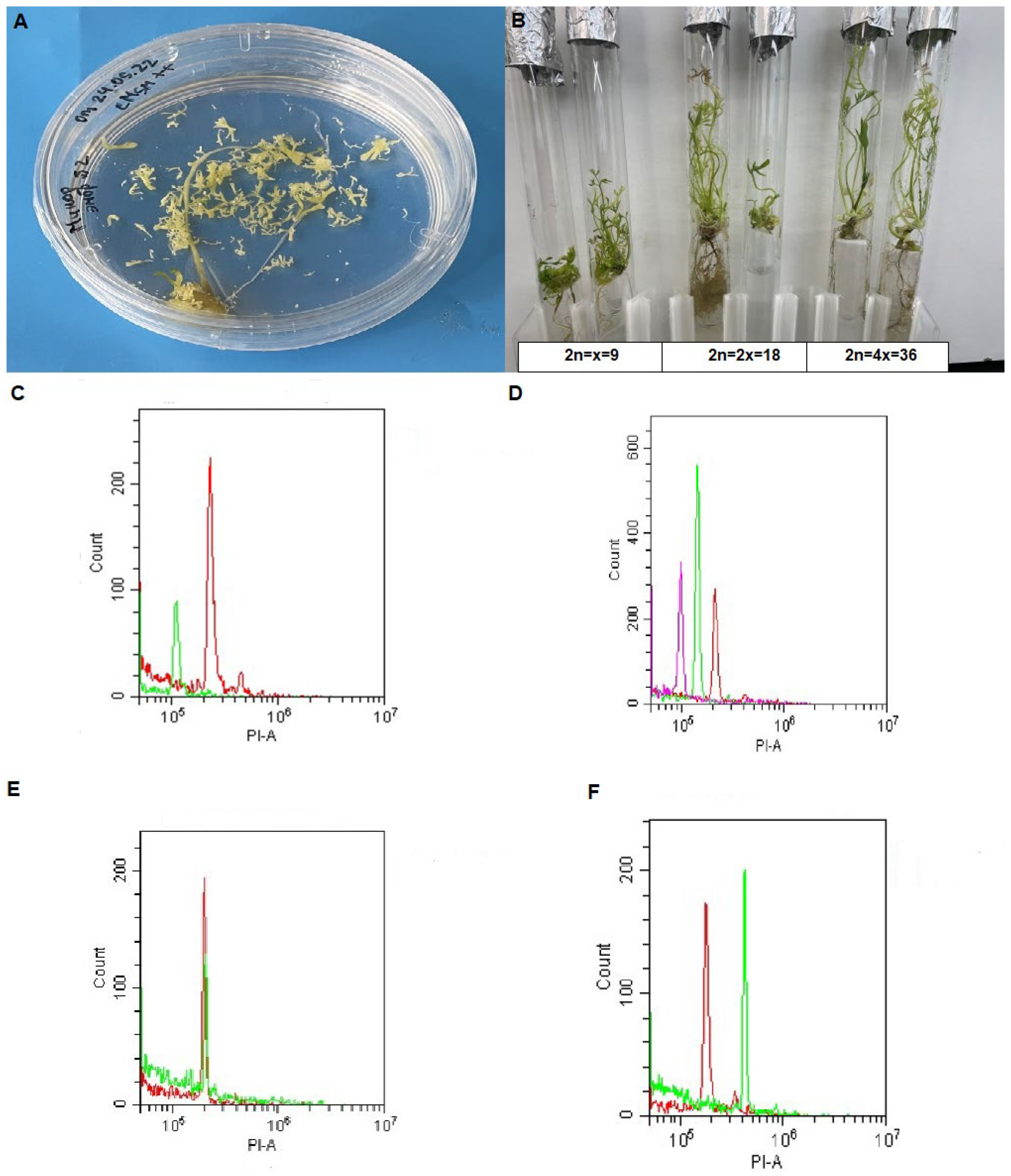Horticulturae 10 00551 g002