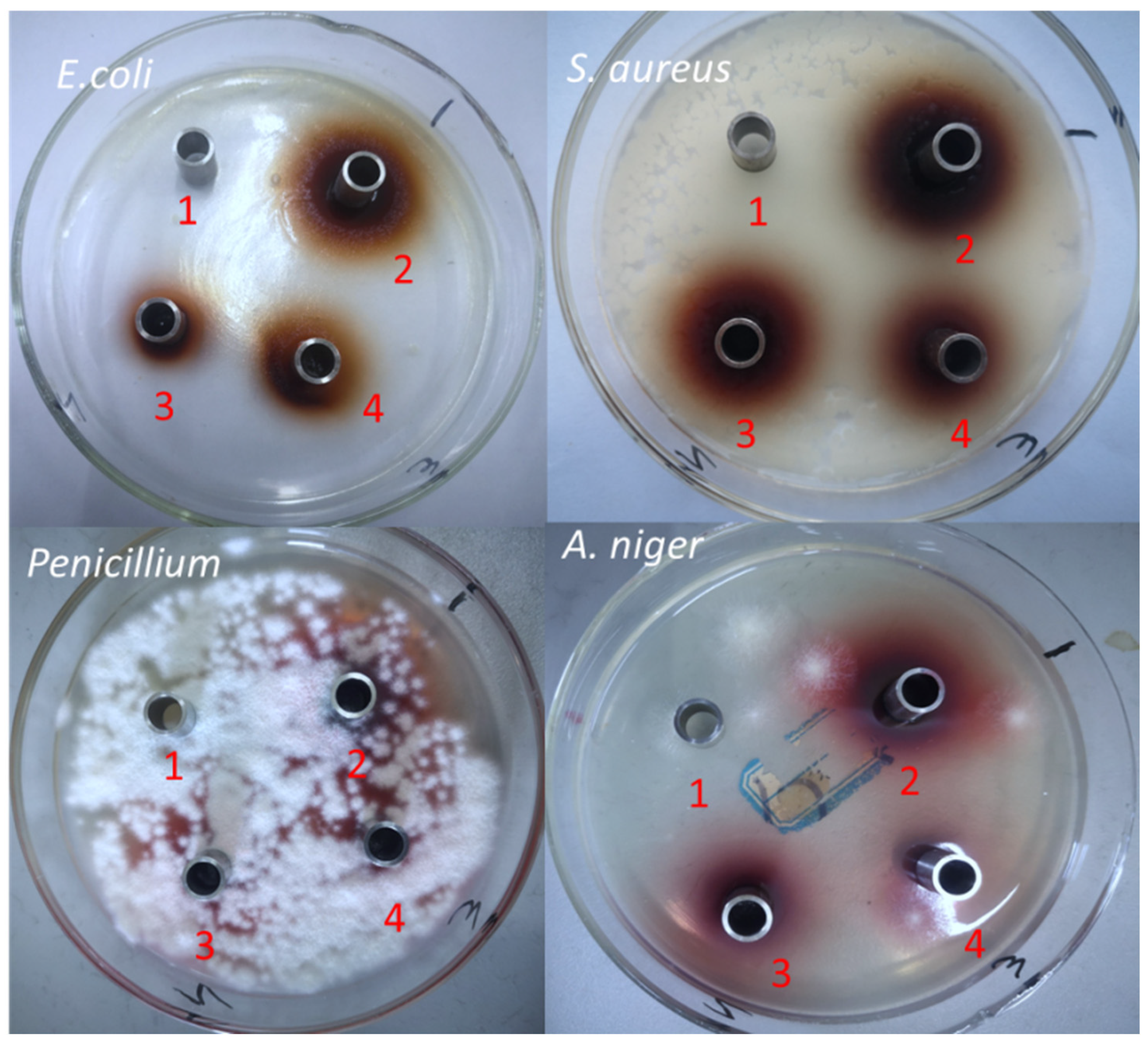 Horticulturae 10 00556 g005