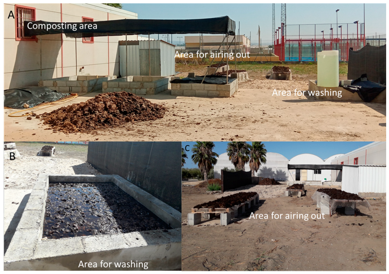 Horticulturae 10 00567 g002