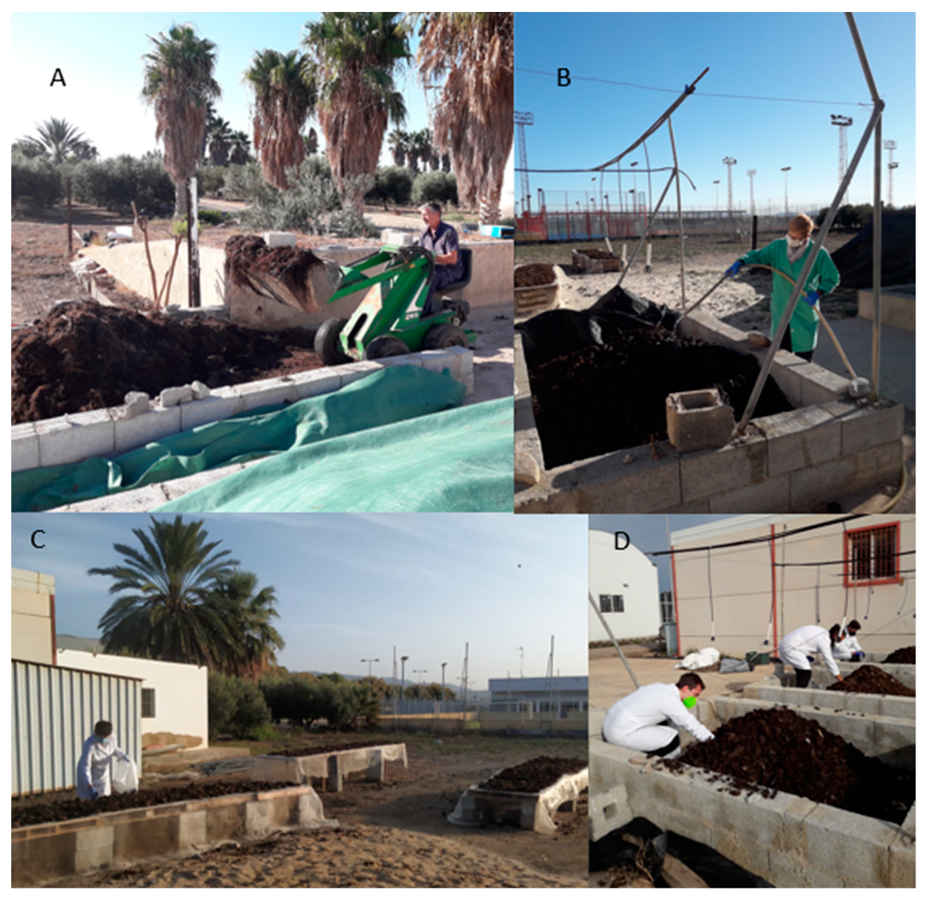 Horticulturae 10 00567 g003