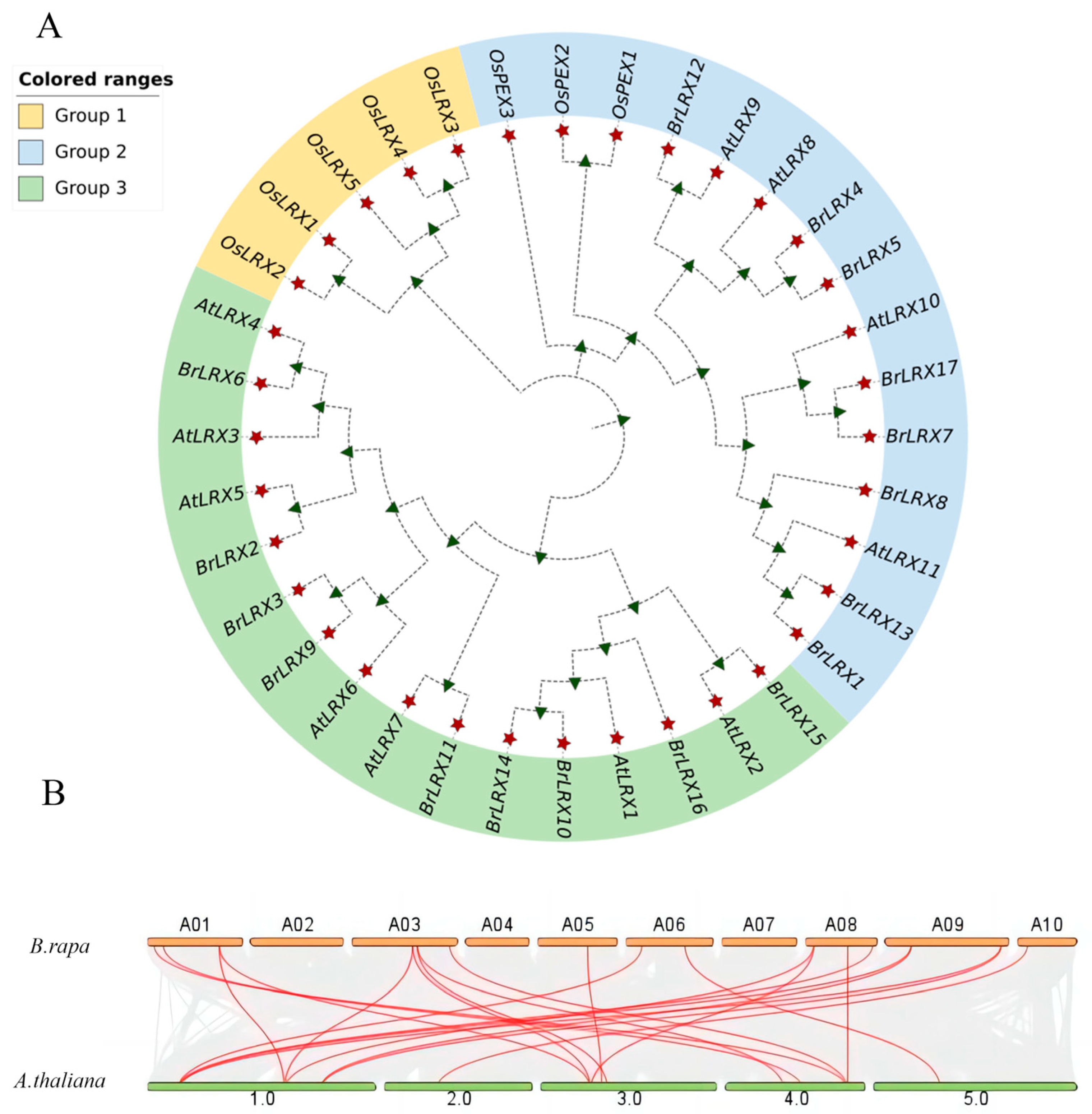 Horticulturae 10 00571 g002