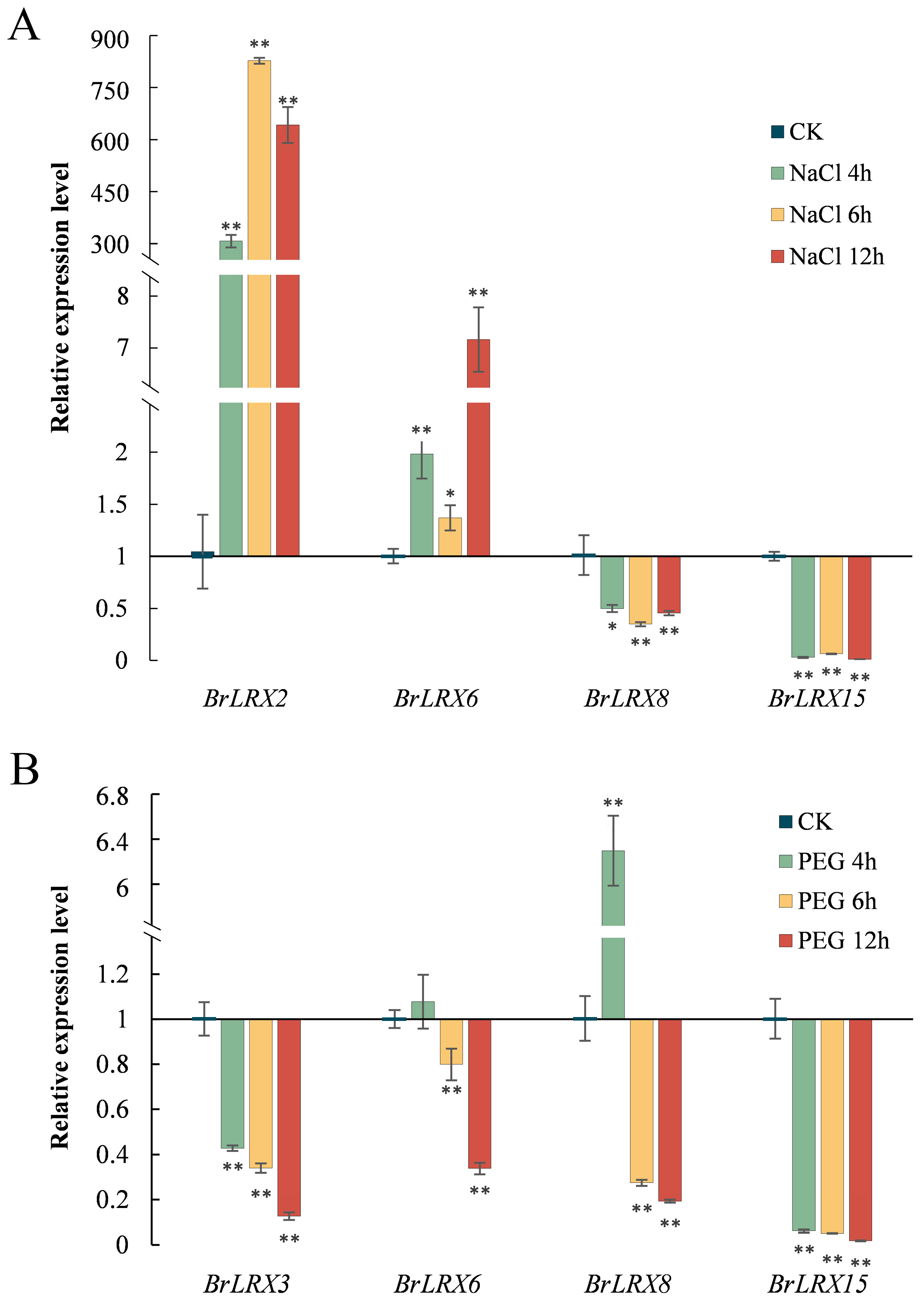 Horticulturae 10 00571 g007