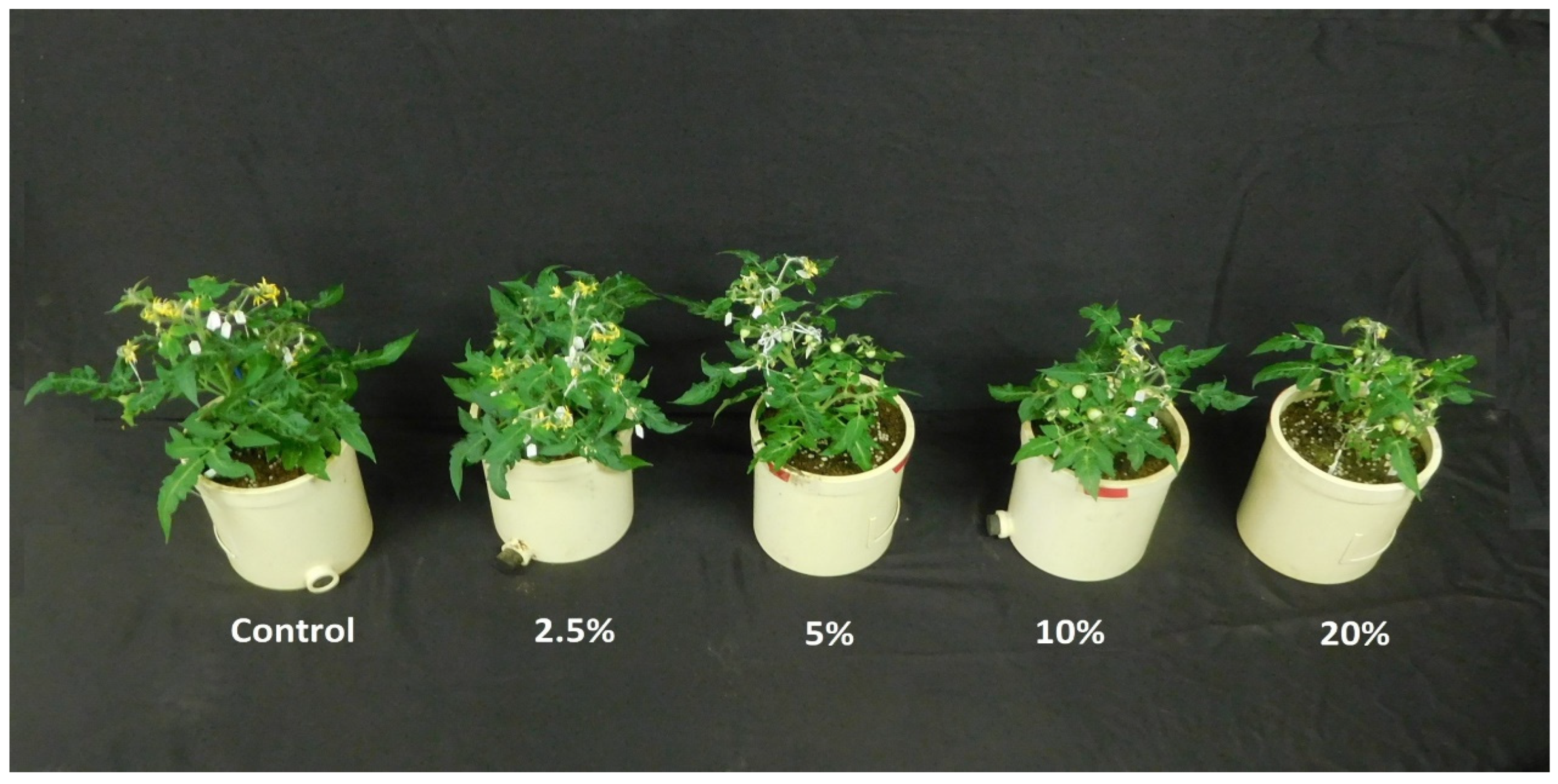 Horticulturae 10 00573 g002