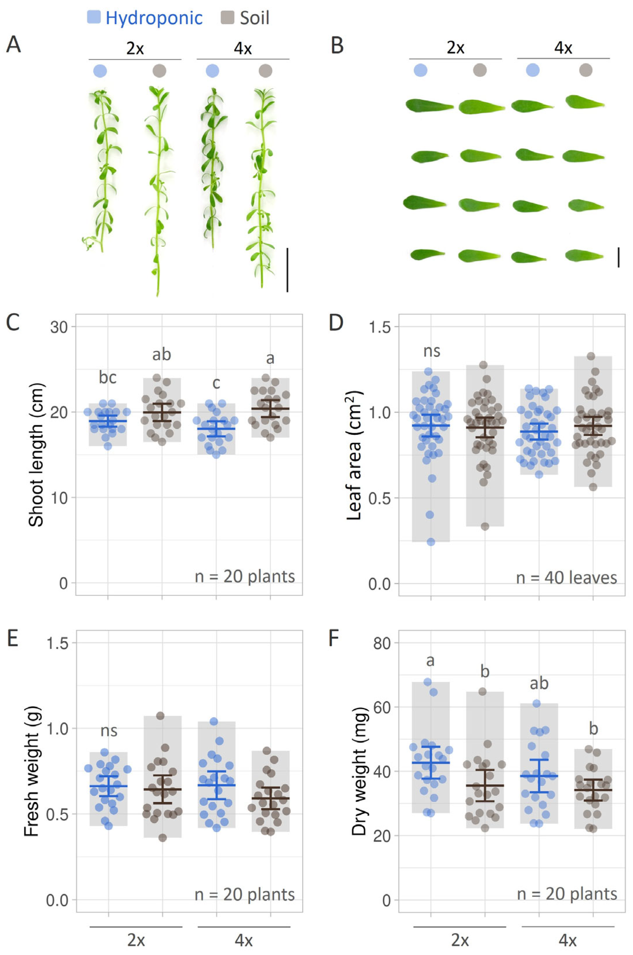 Horticulturae 10 00574 g002