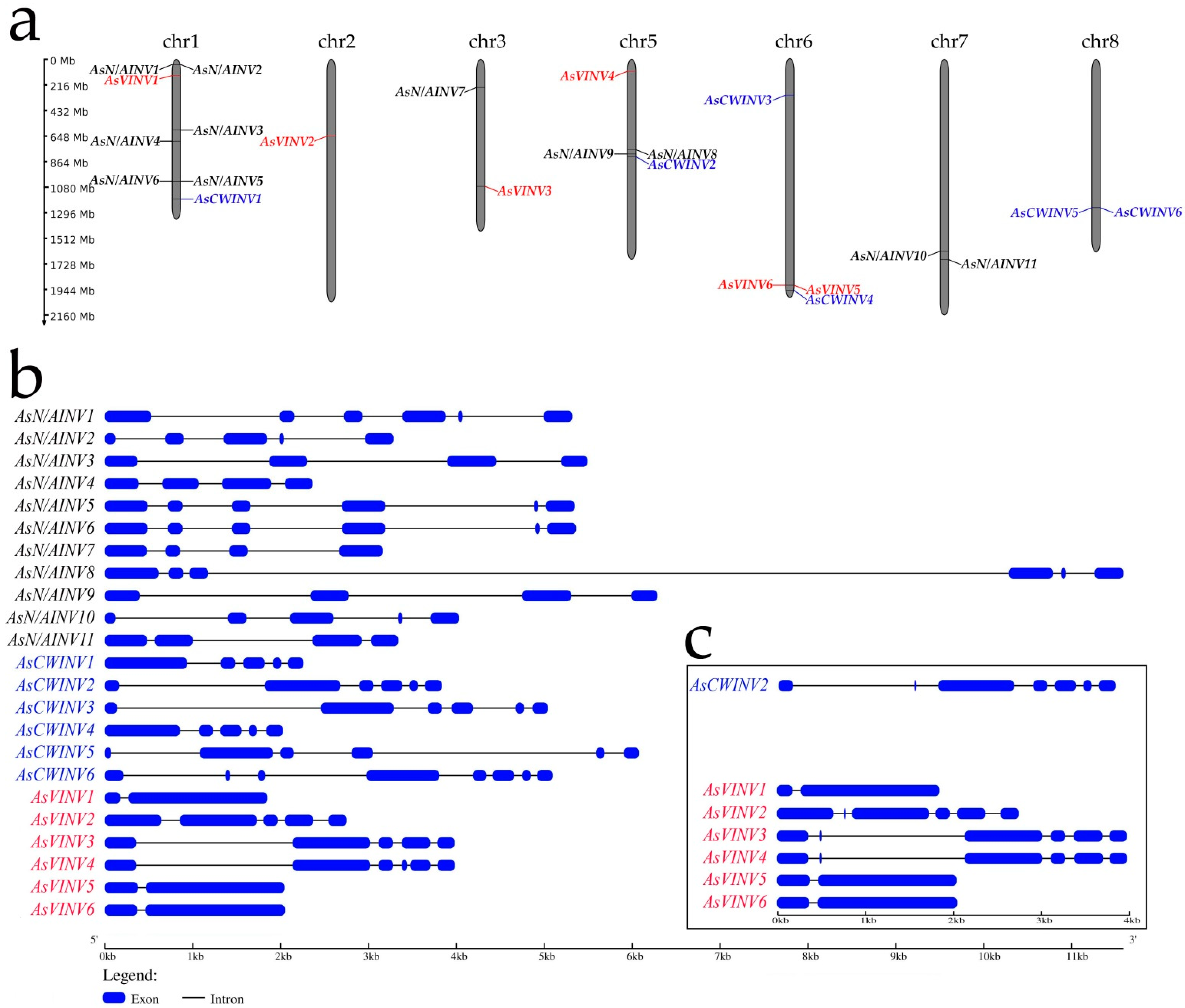 Horticulturae 10 00581 g001