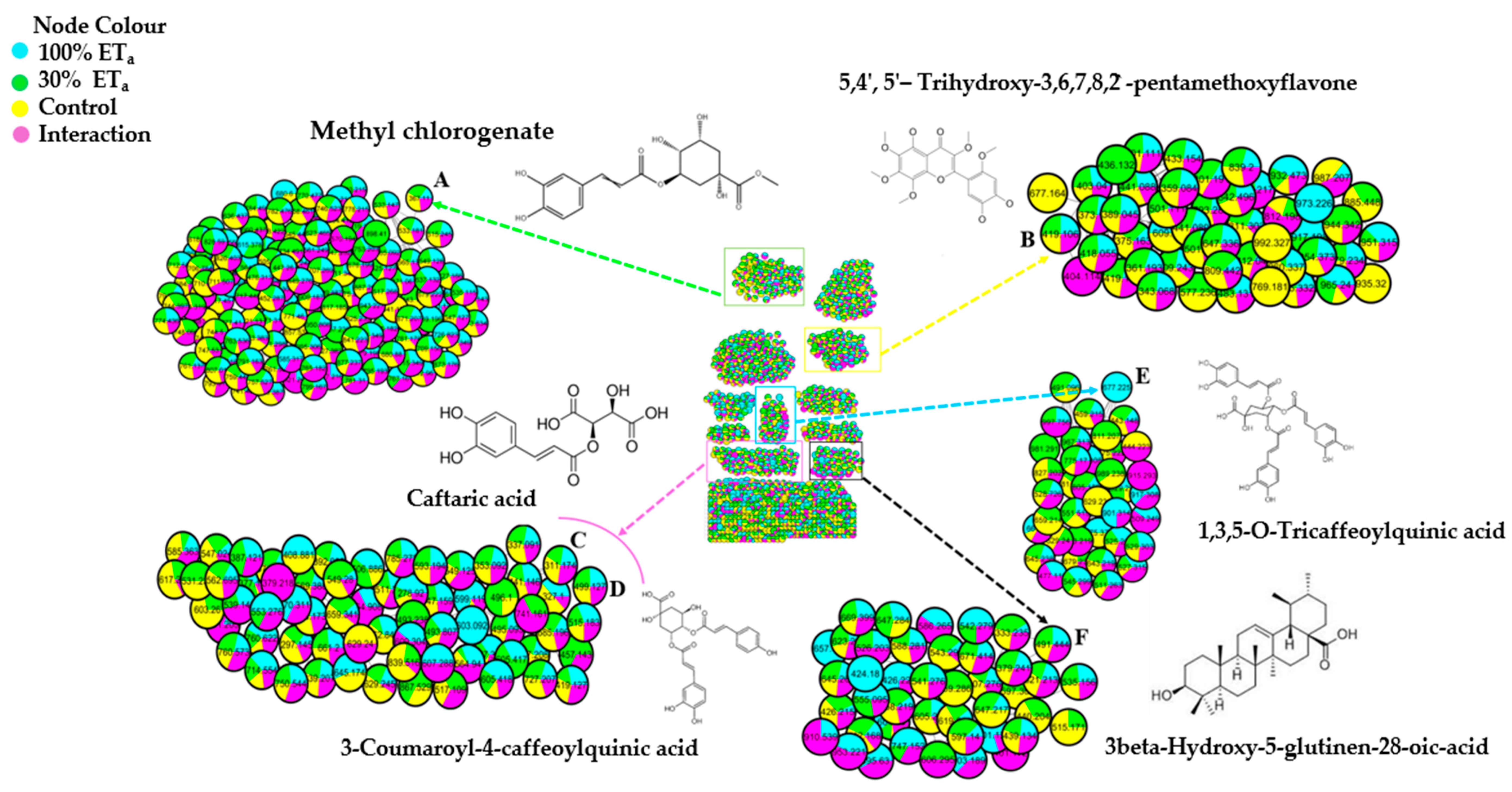 Horticulturae 10 00590 g003
