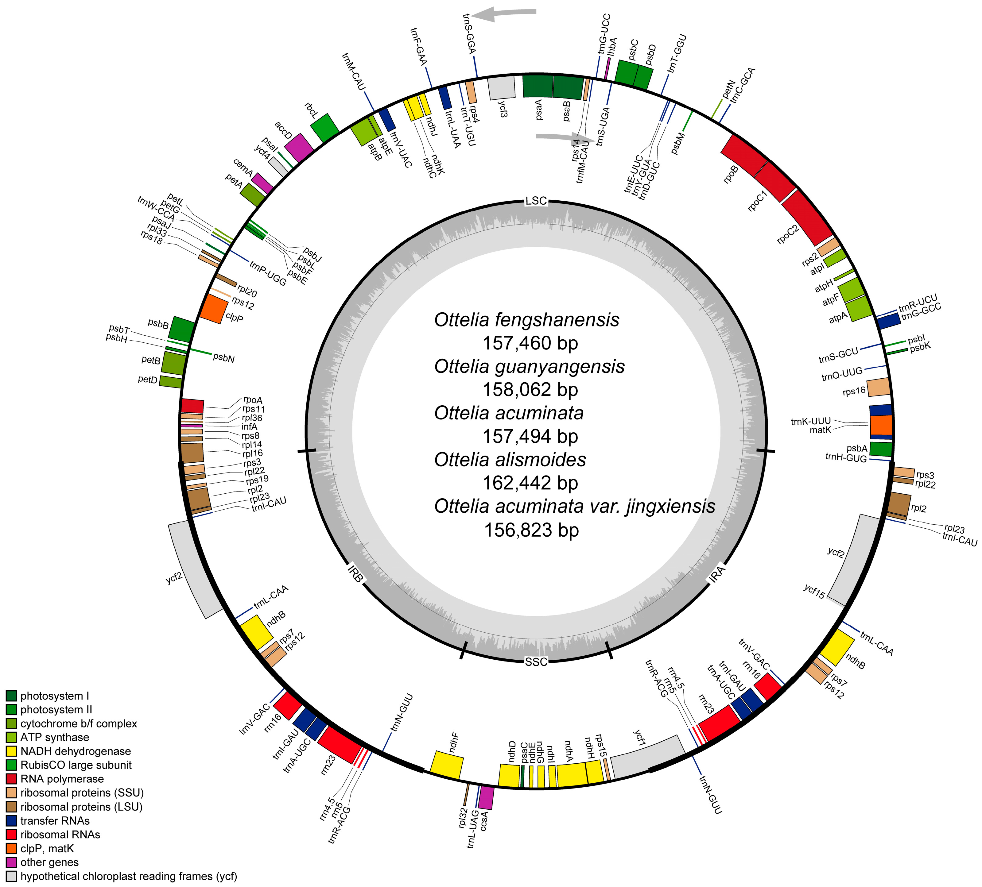 Horticulturae 10 00603 g001