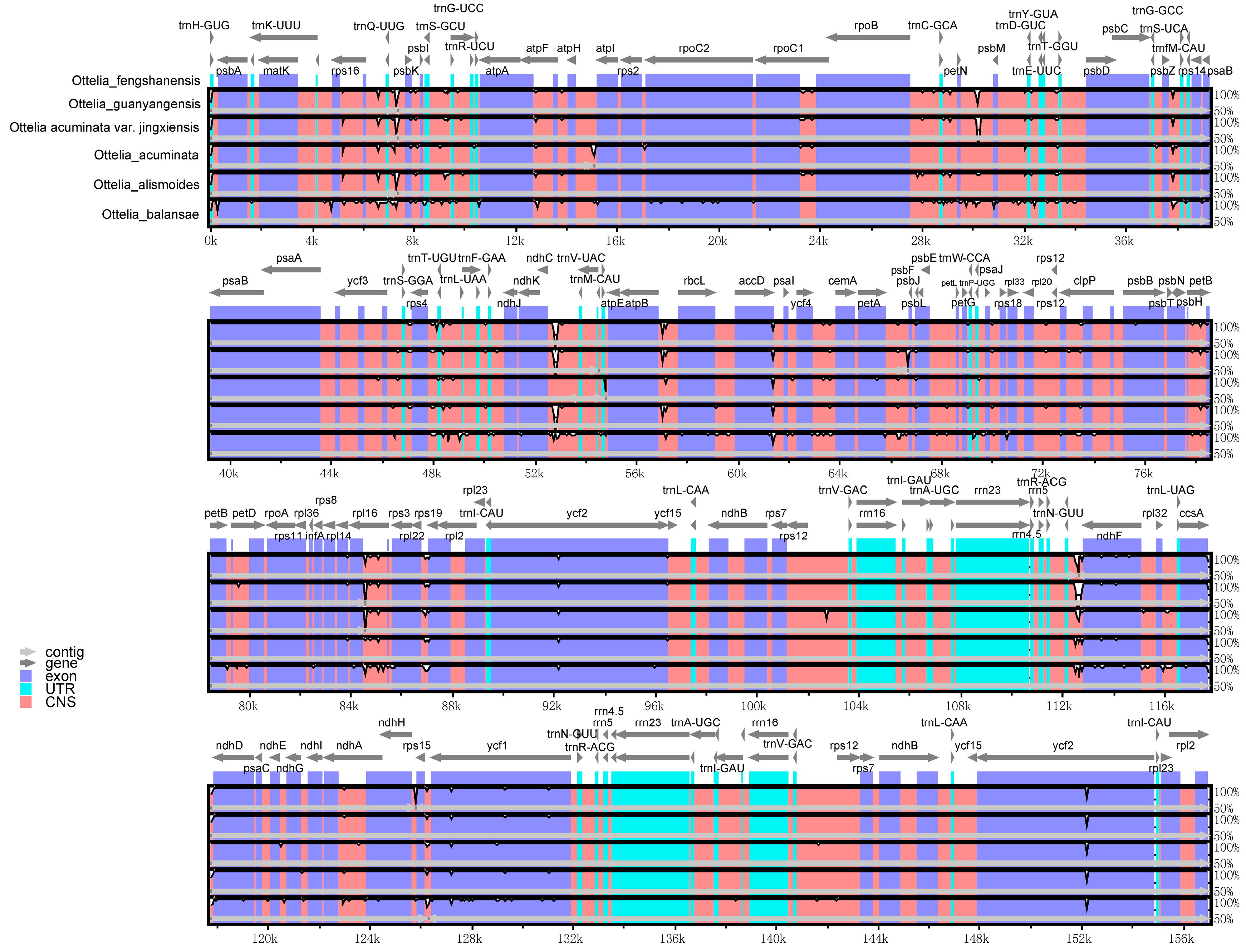 Horticulturae 10 00603 g004