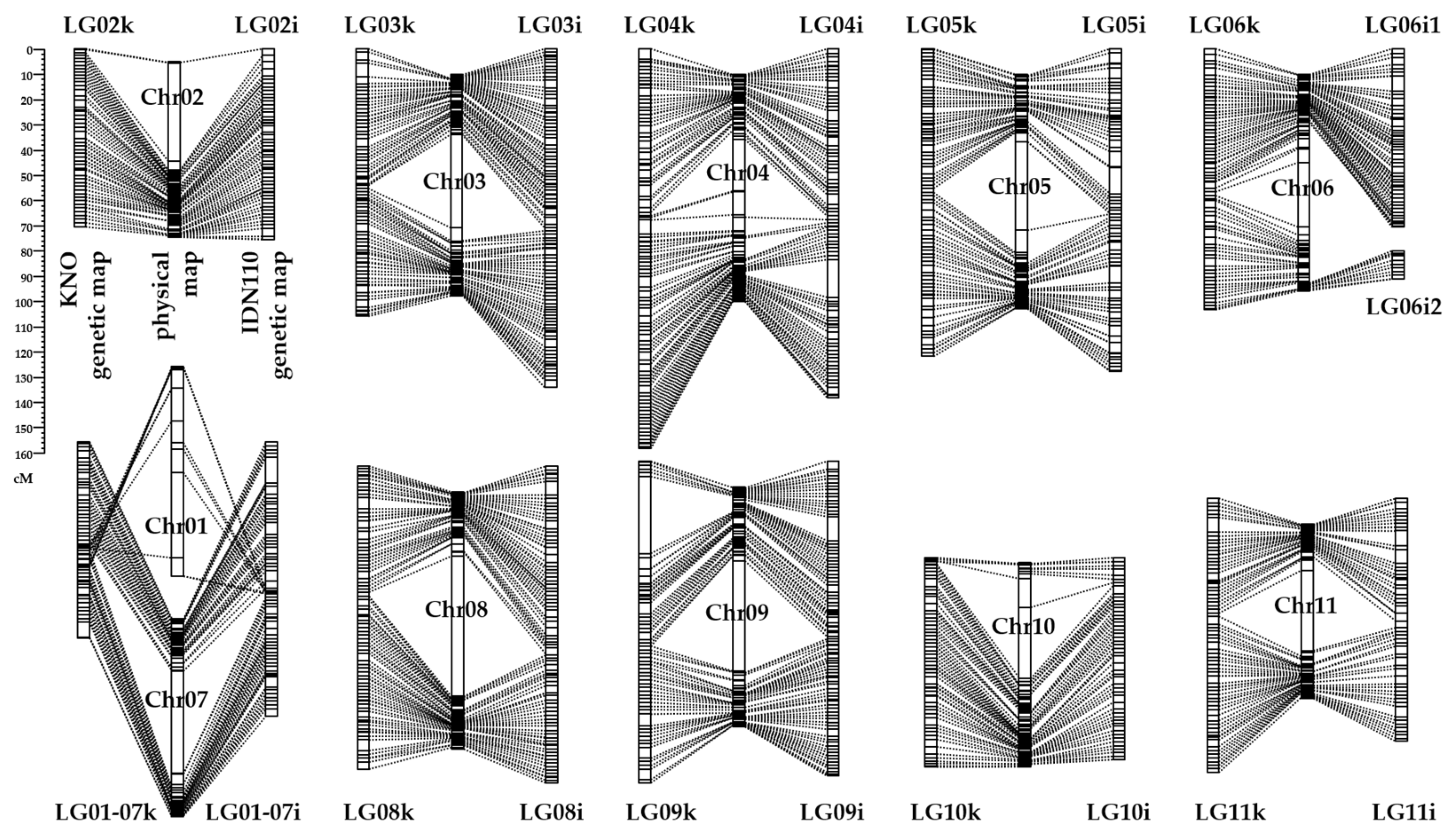 Horticulturae 10 00608 g001 Horticulturae 10 00608 g001