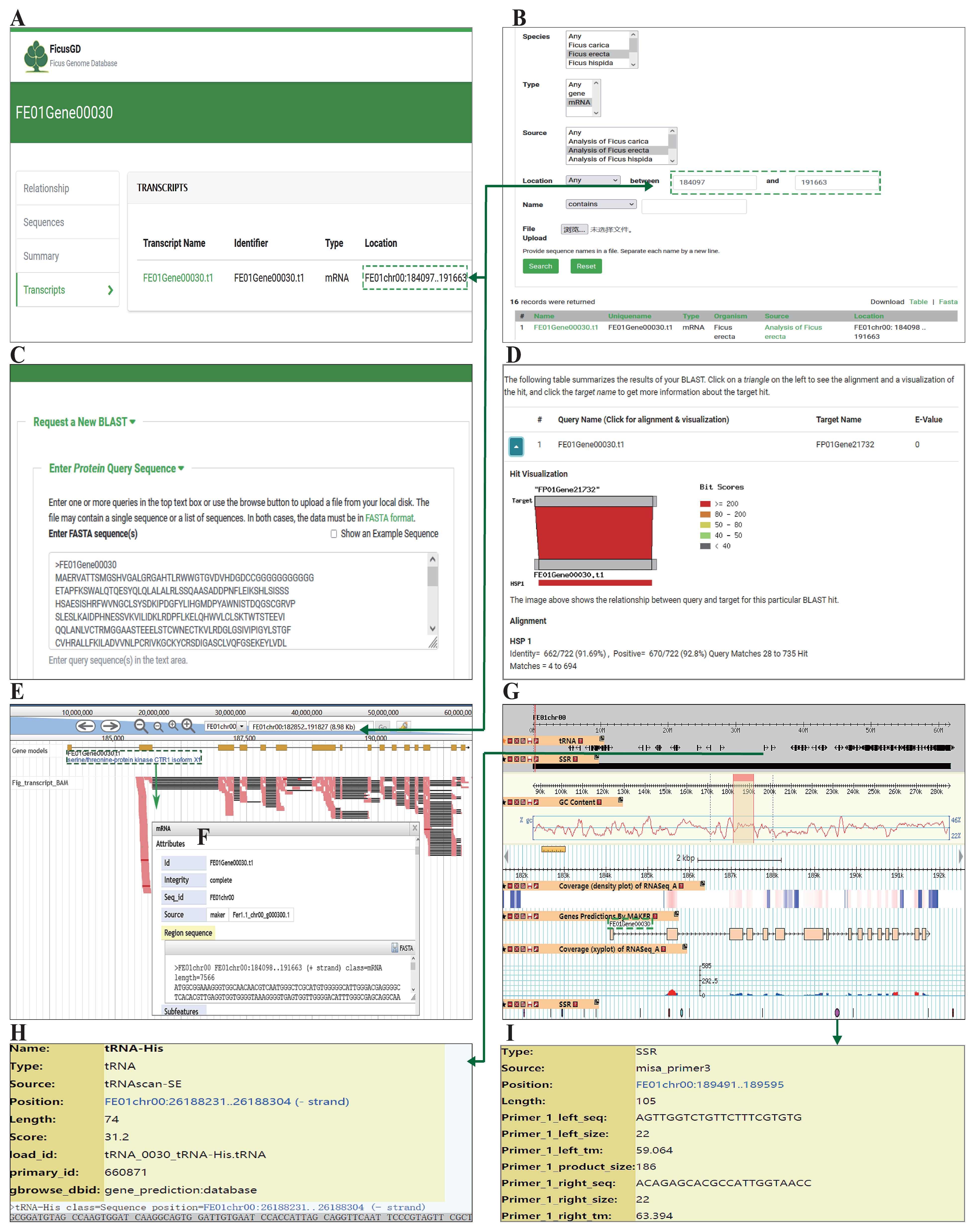 Horticulturae 10 00613 g002 Horticulturae 10 00613 g002