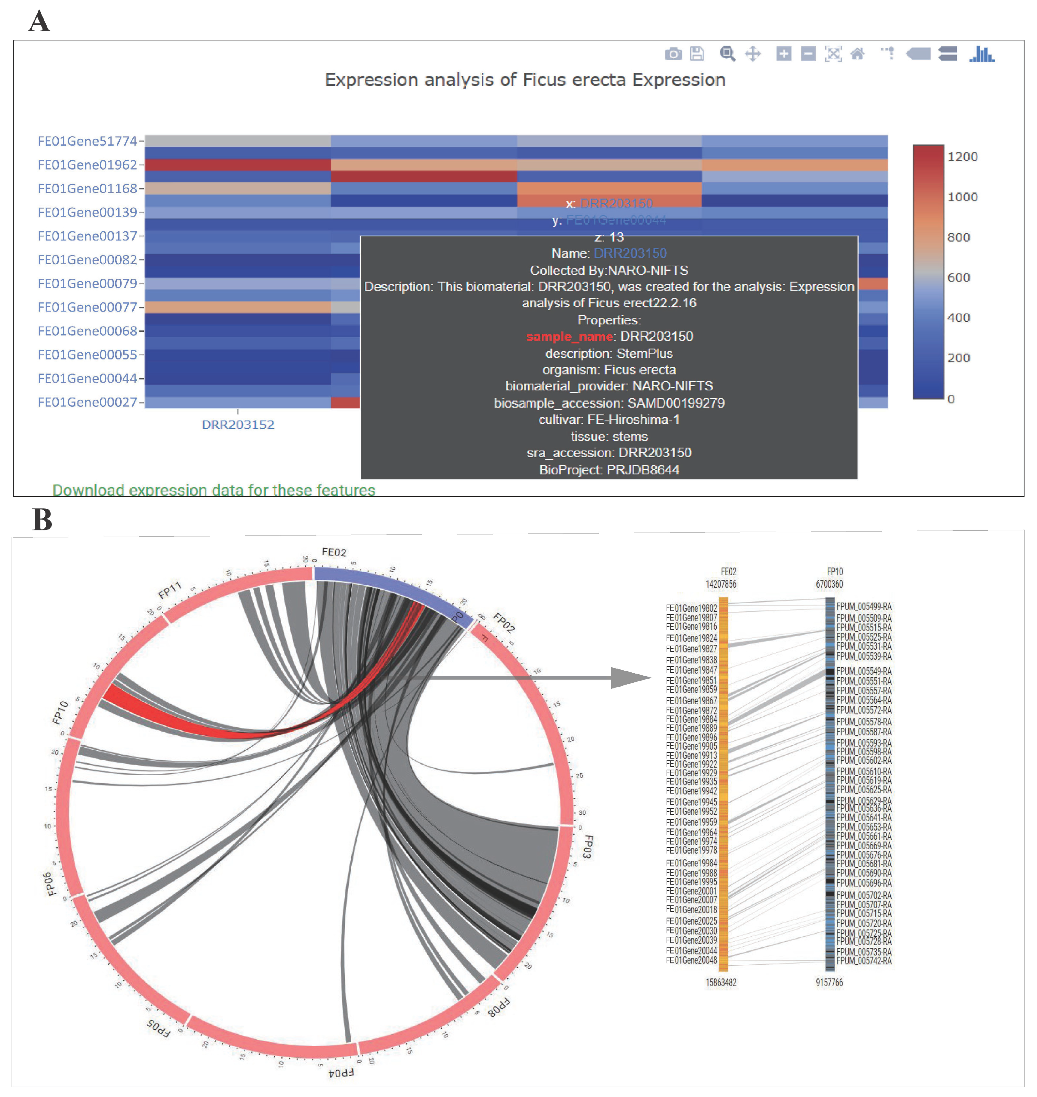 Horticulturae 10 00613 g003 Horticulturae 10 00613 g003