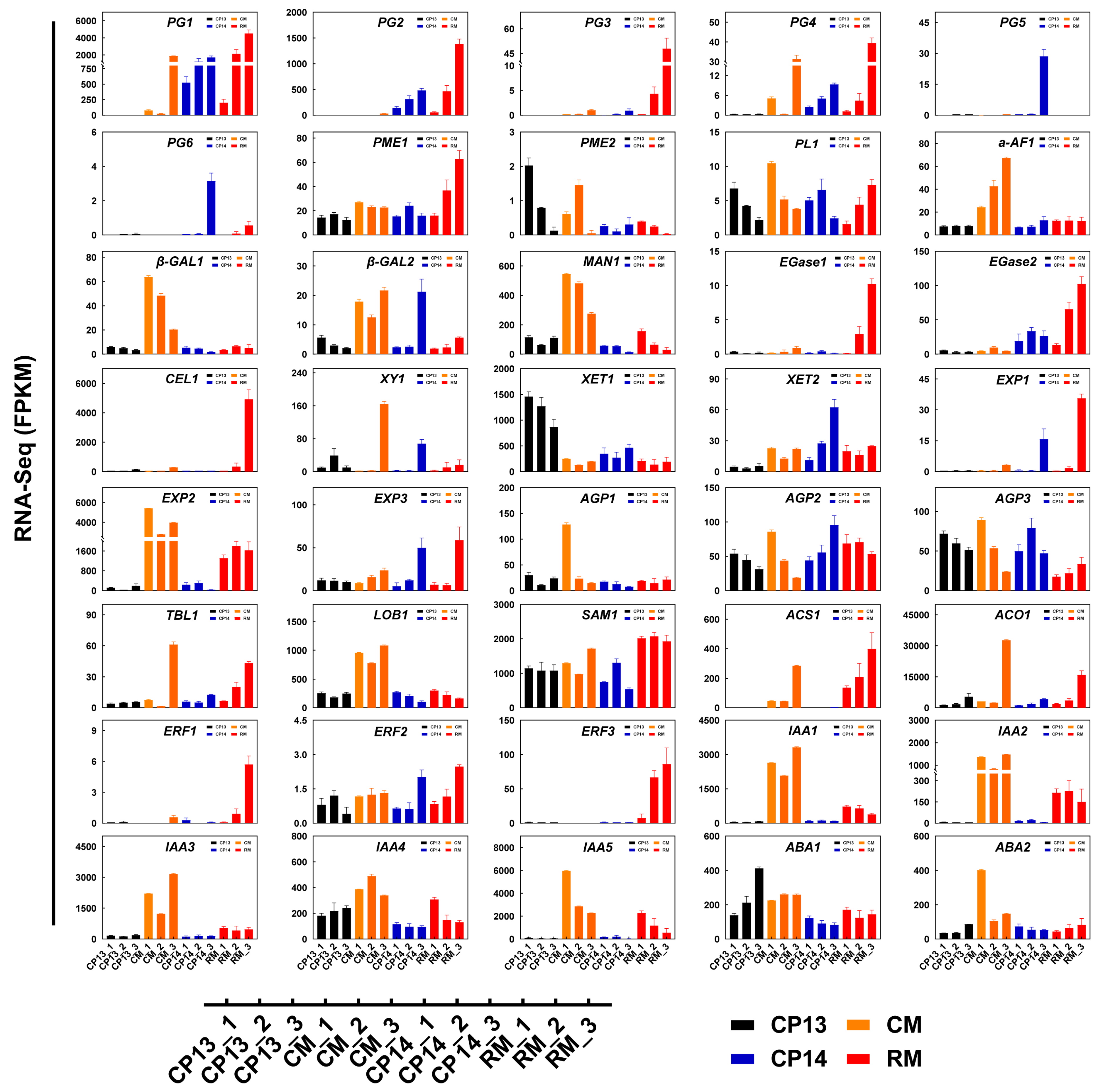 Horticulturae 10 00615 g007