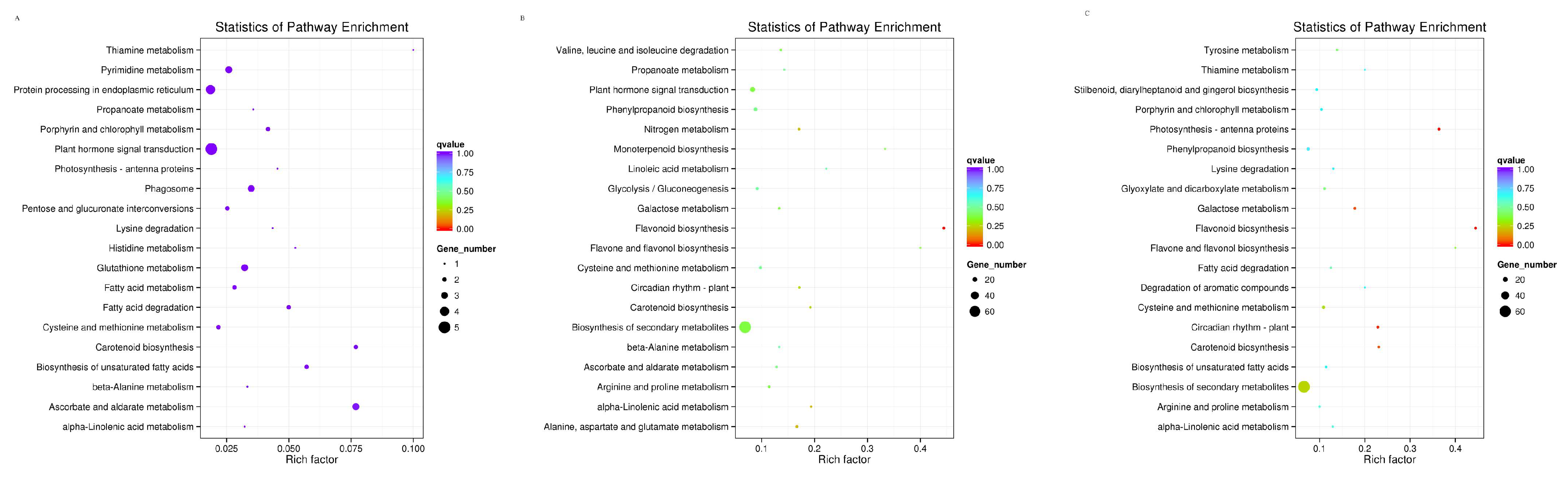 Horticulturae 10 00619 g004