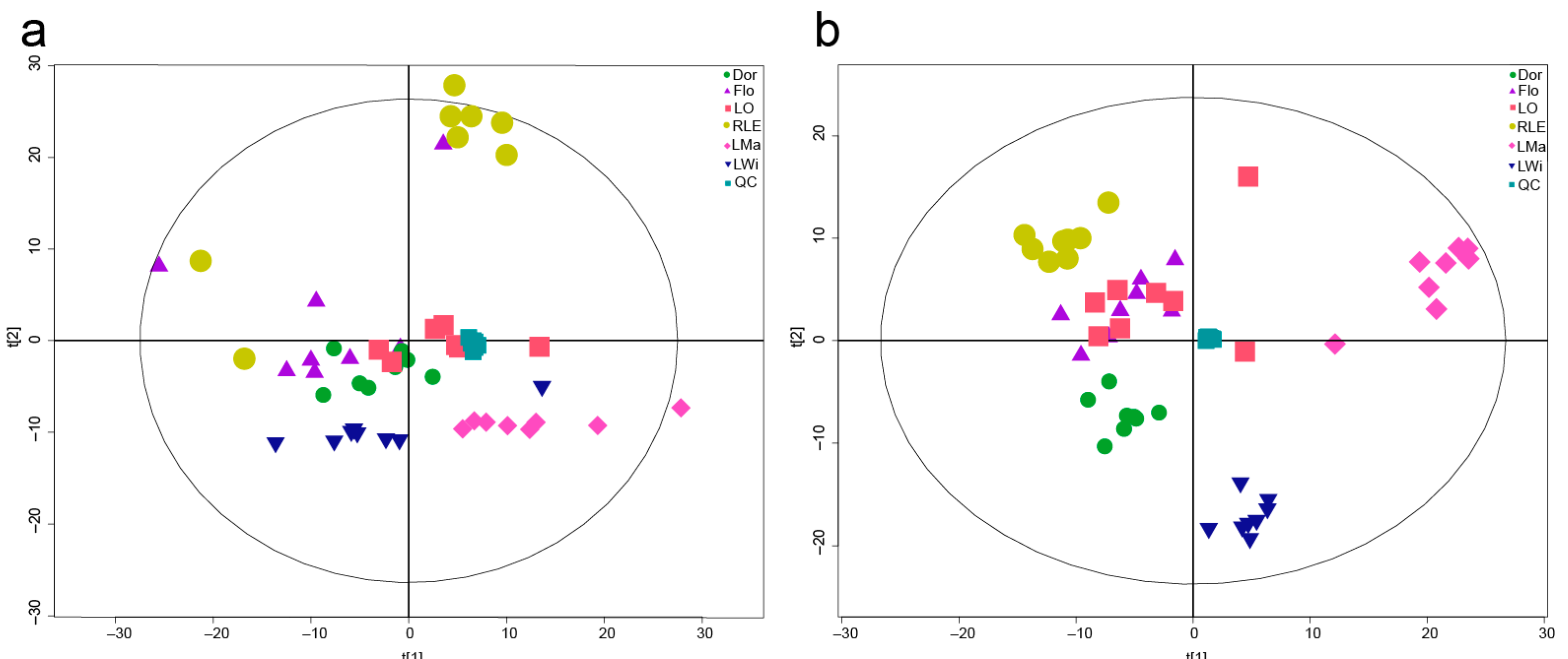 Horticulturae 10 00636 g001