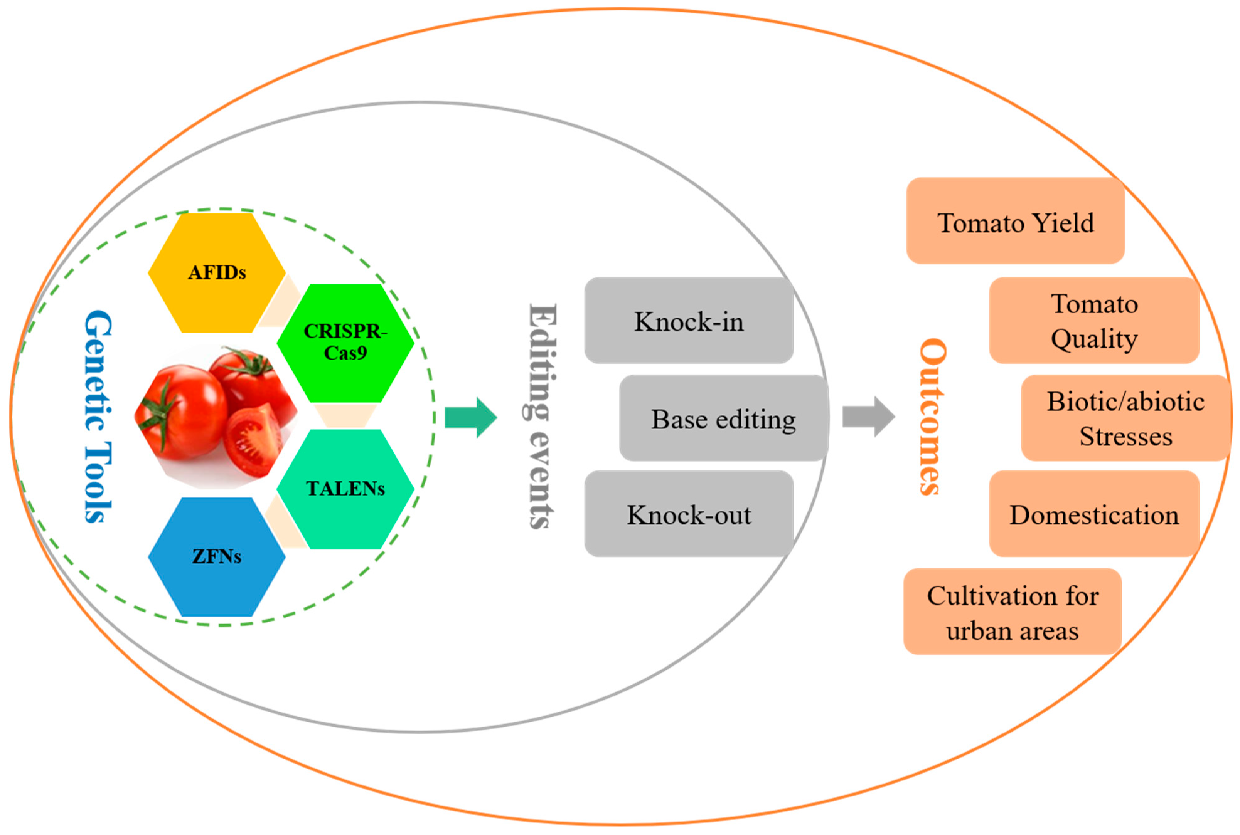 Horticulturae 10 00641 g001