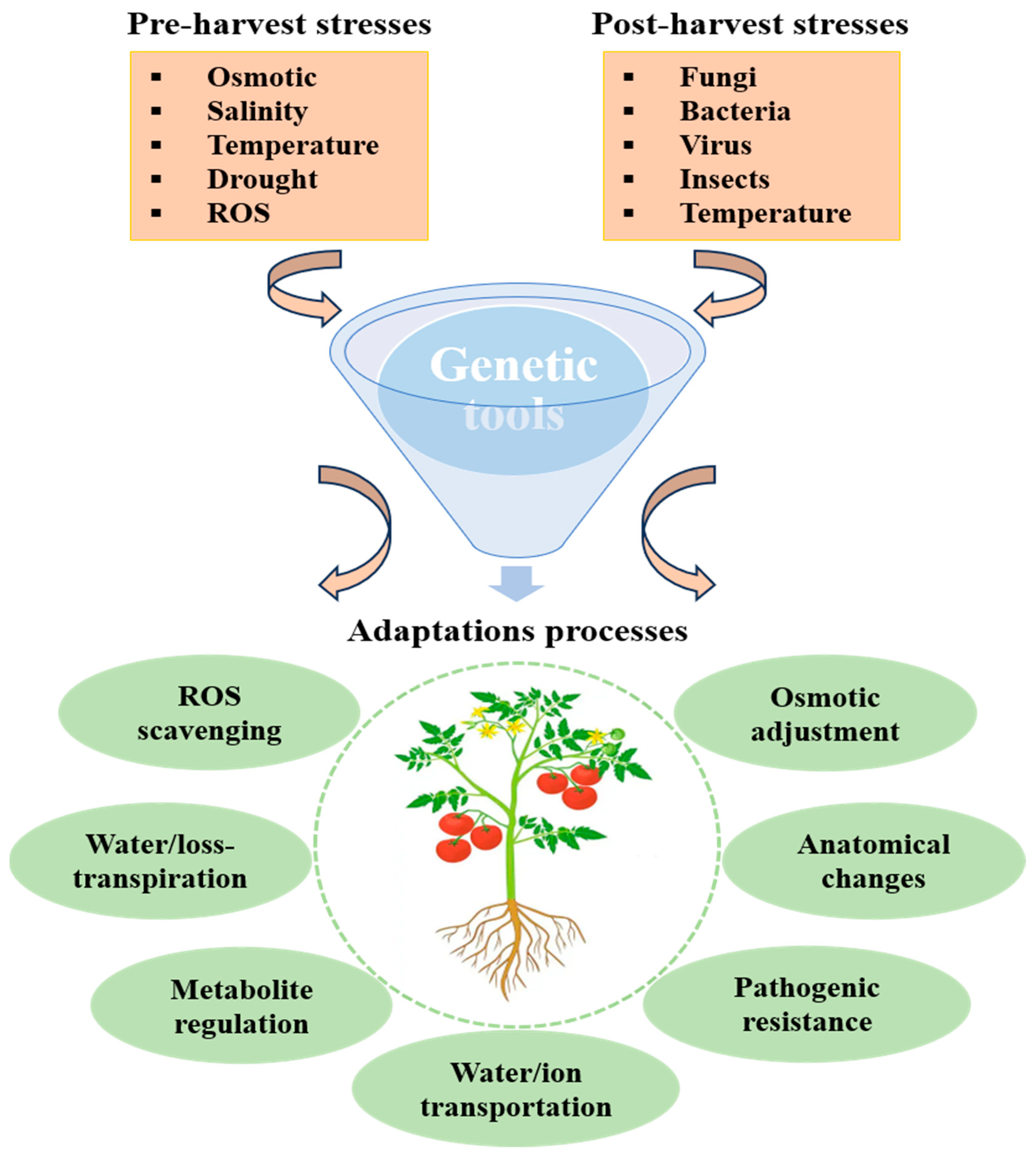Horticulturae 10 00641 g002