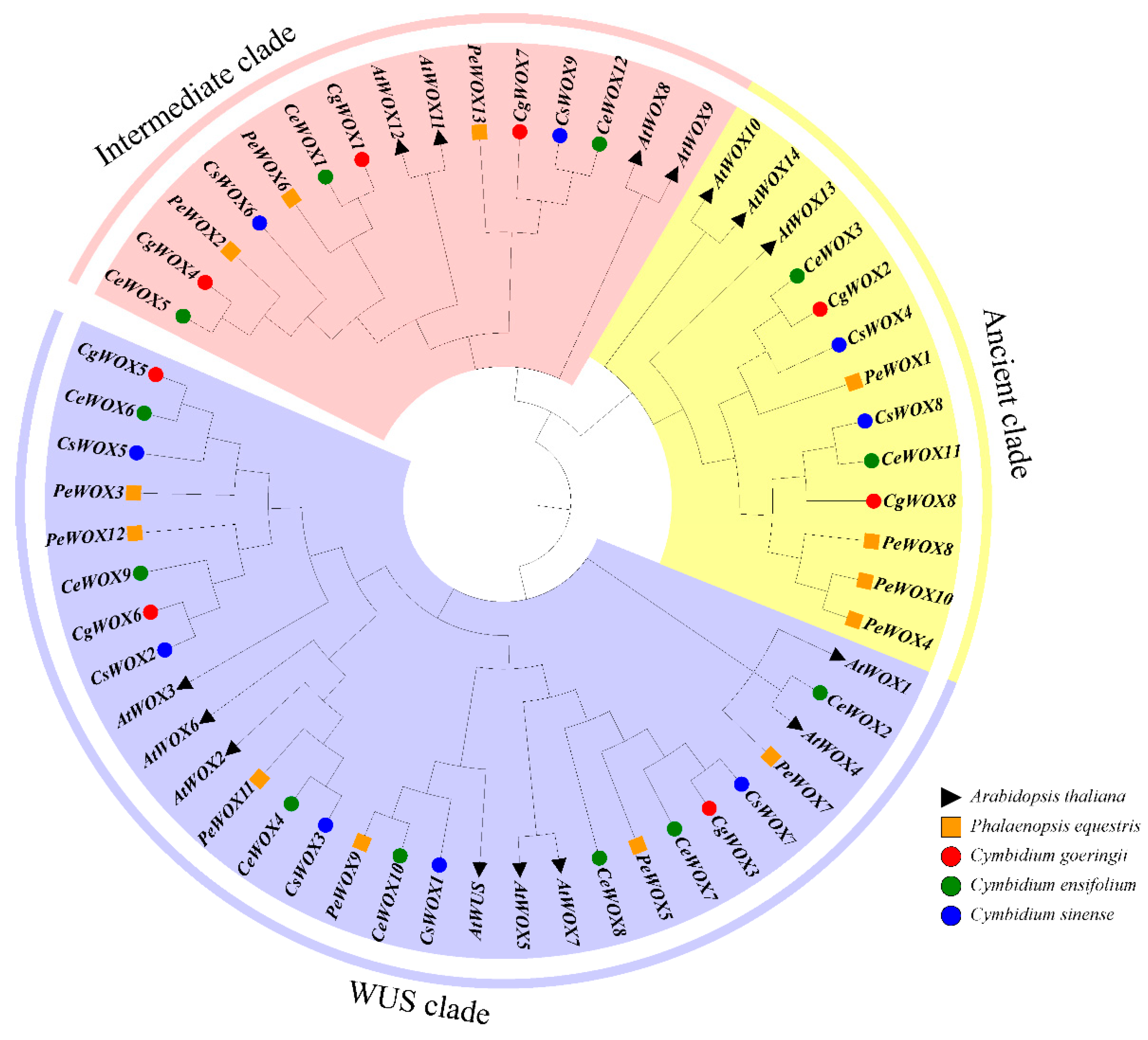Horticulturae 10 00645 g001