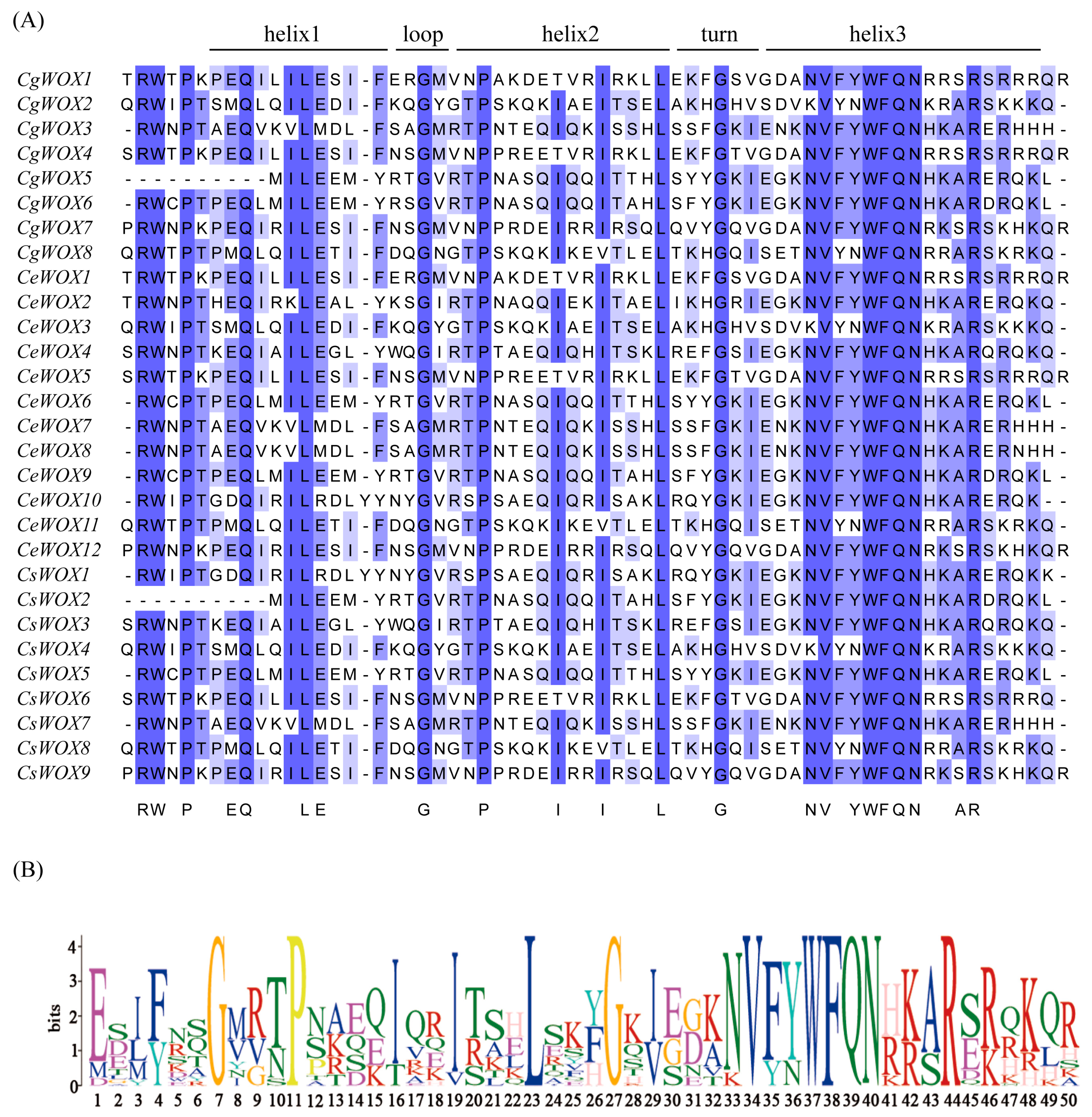 Horticulturae 10 00645 g002