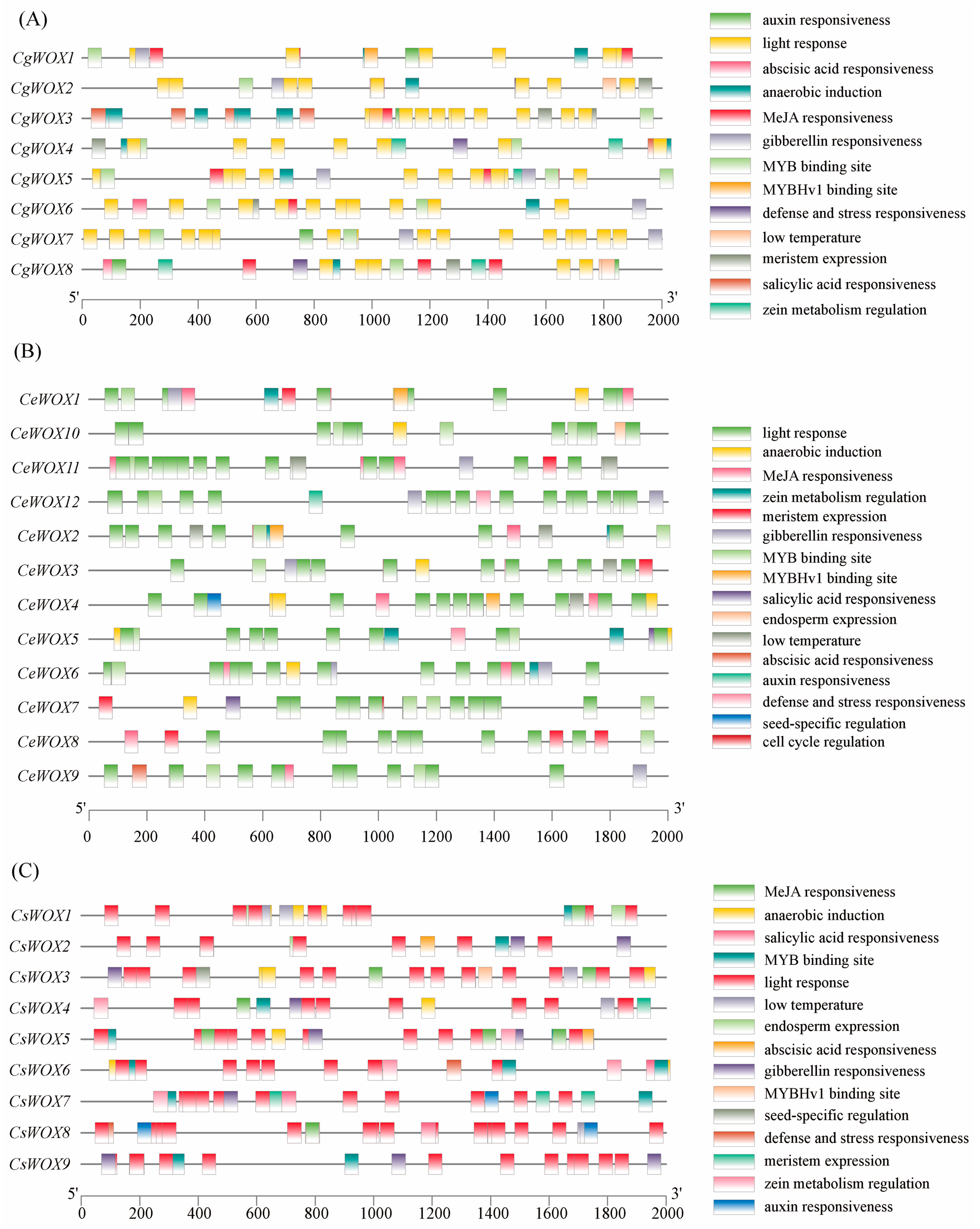 Horticulturae 10 00645 g005