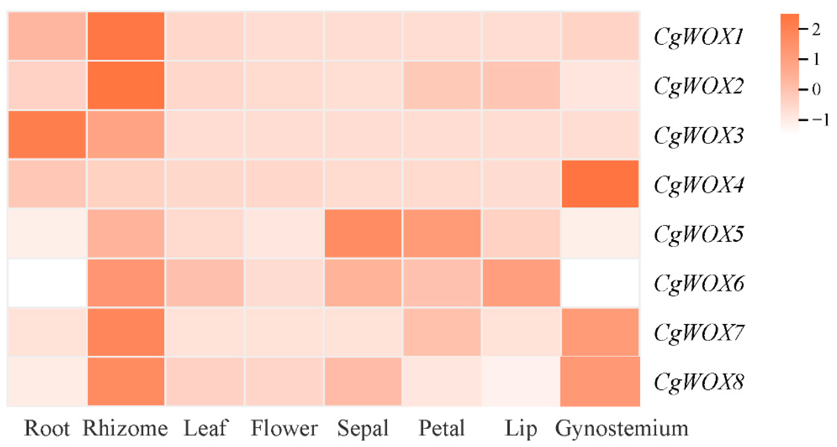 Horticulturae 10 00645 g006