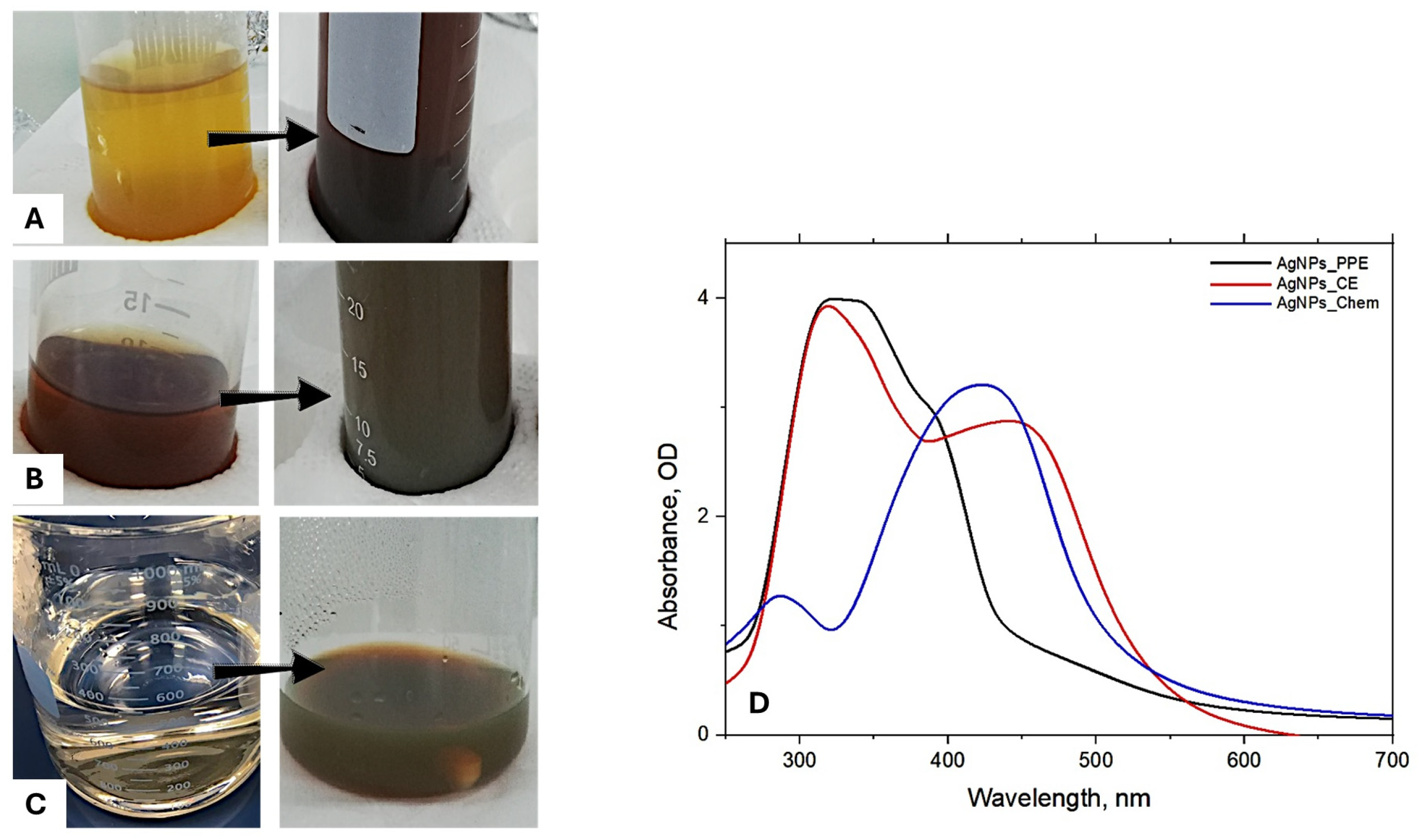 Horticulturae 10 00647 g002