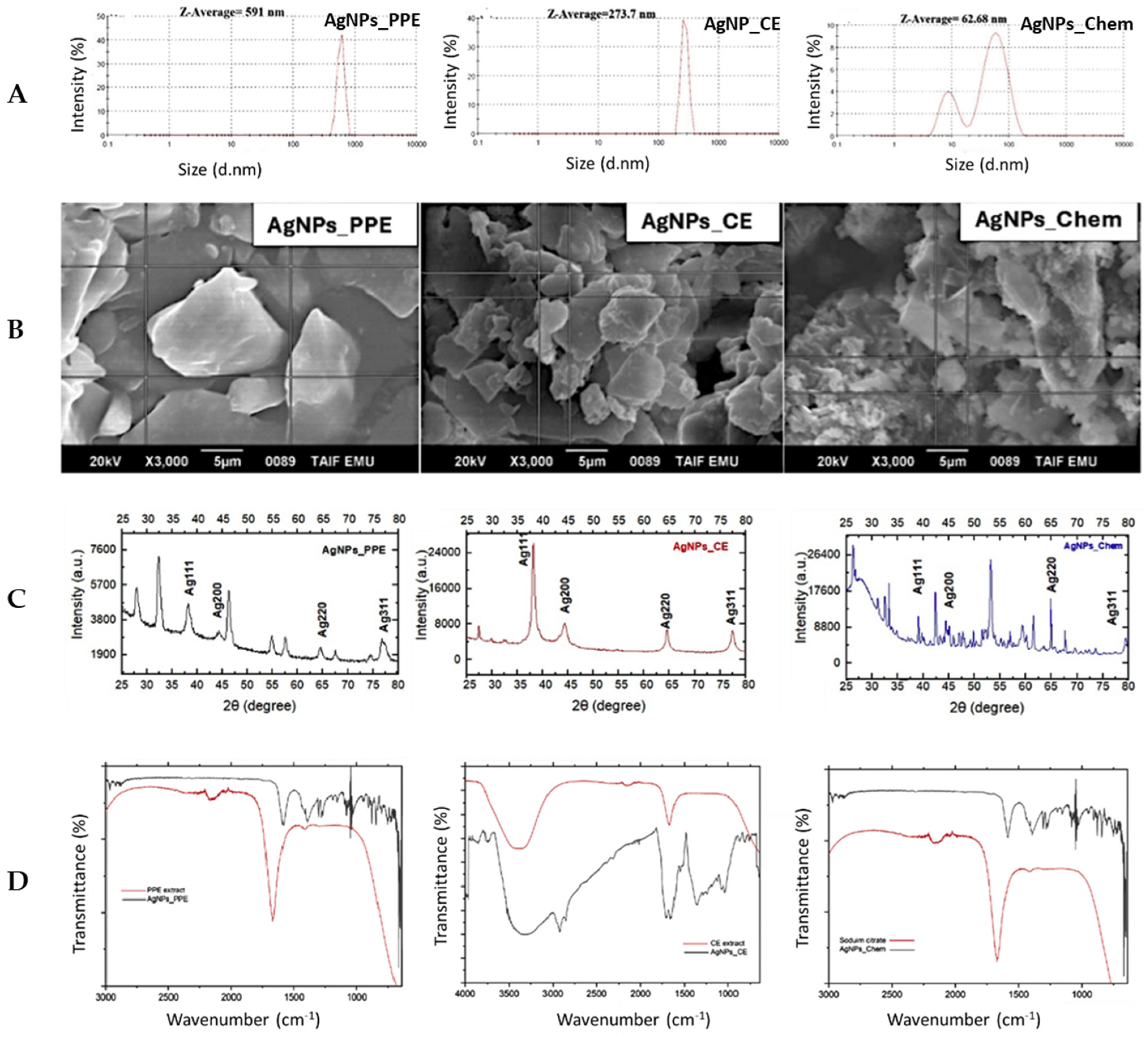 Horticulturae 10 00647 g003