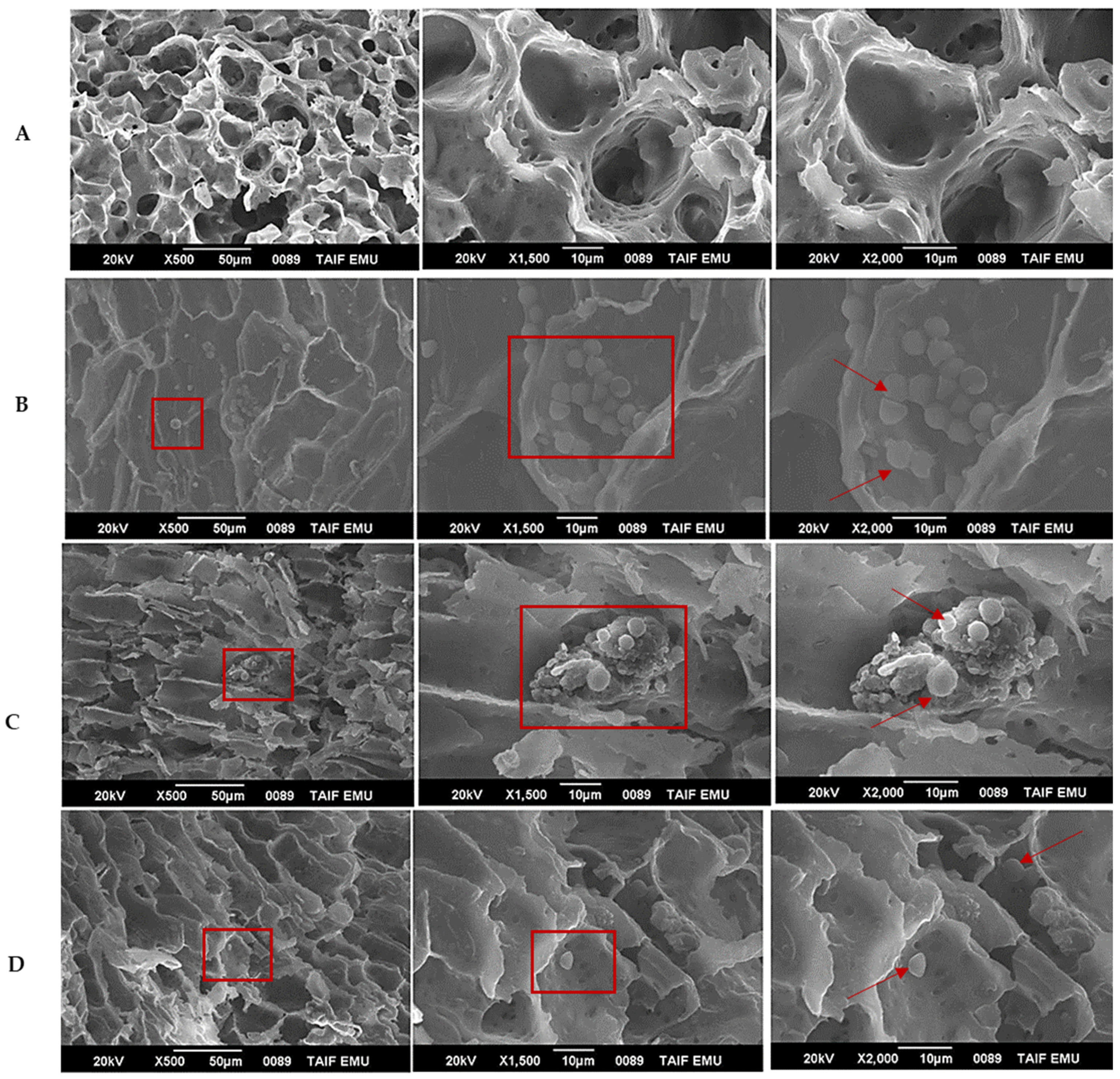 Horticulturae 10 00647 g004