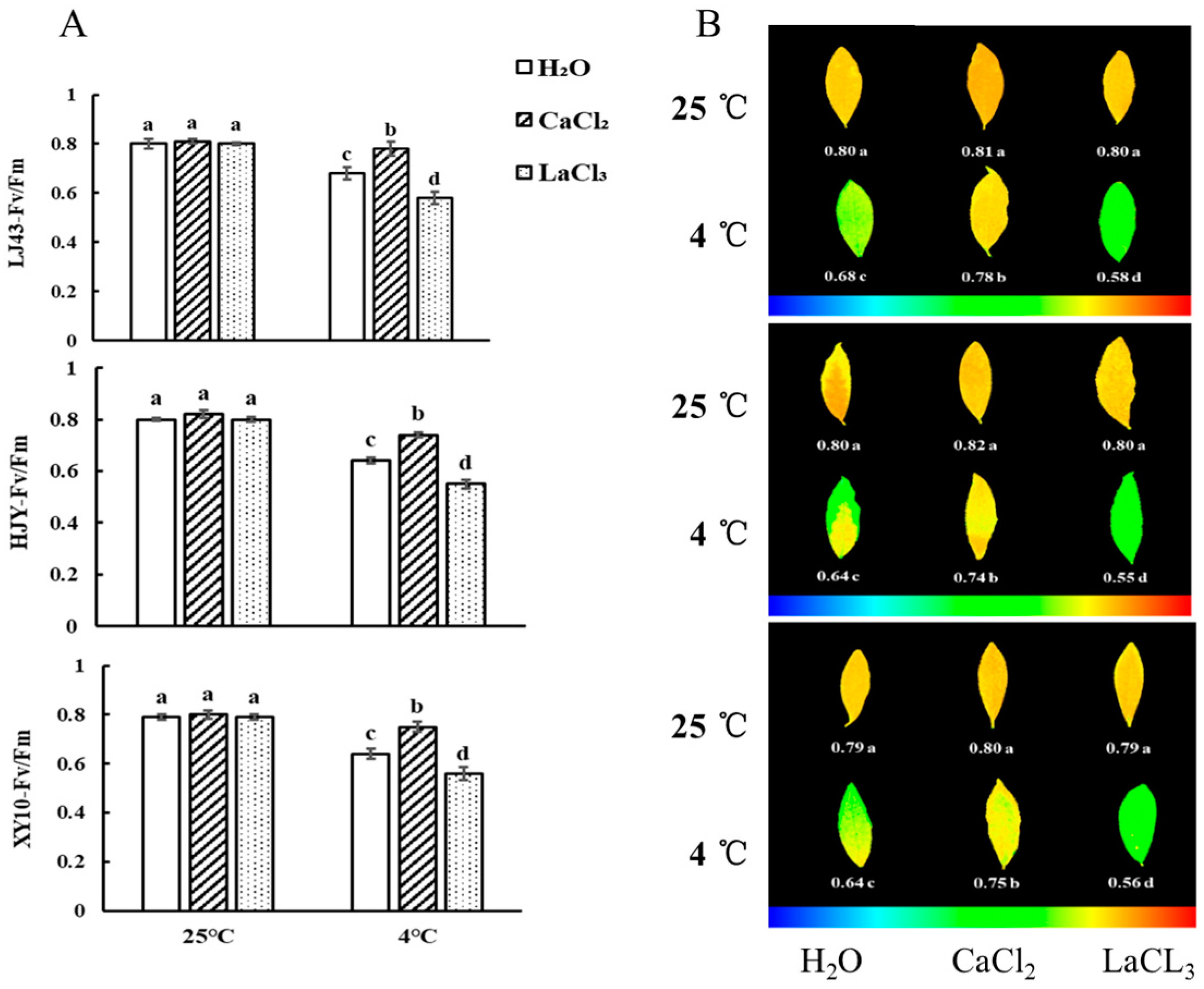 Horticulturae 10 00666 g001 Horticulturae 10 00666 g001