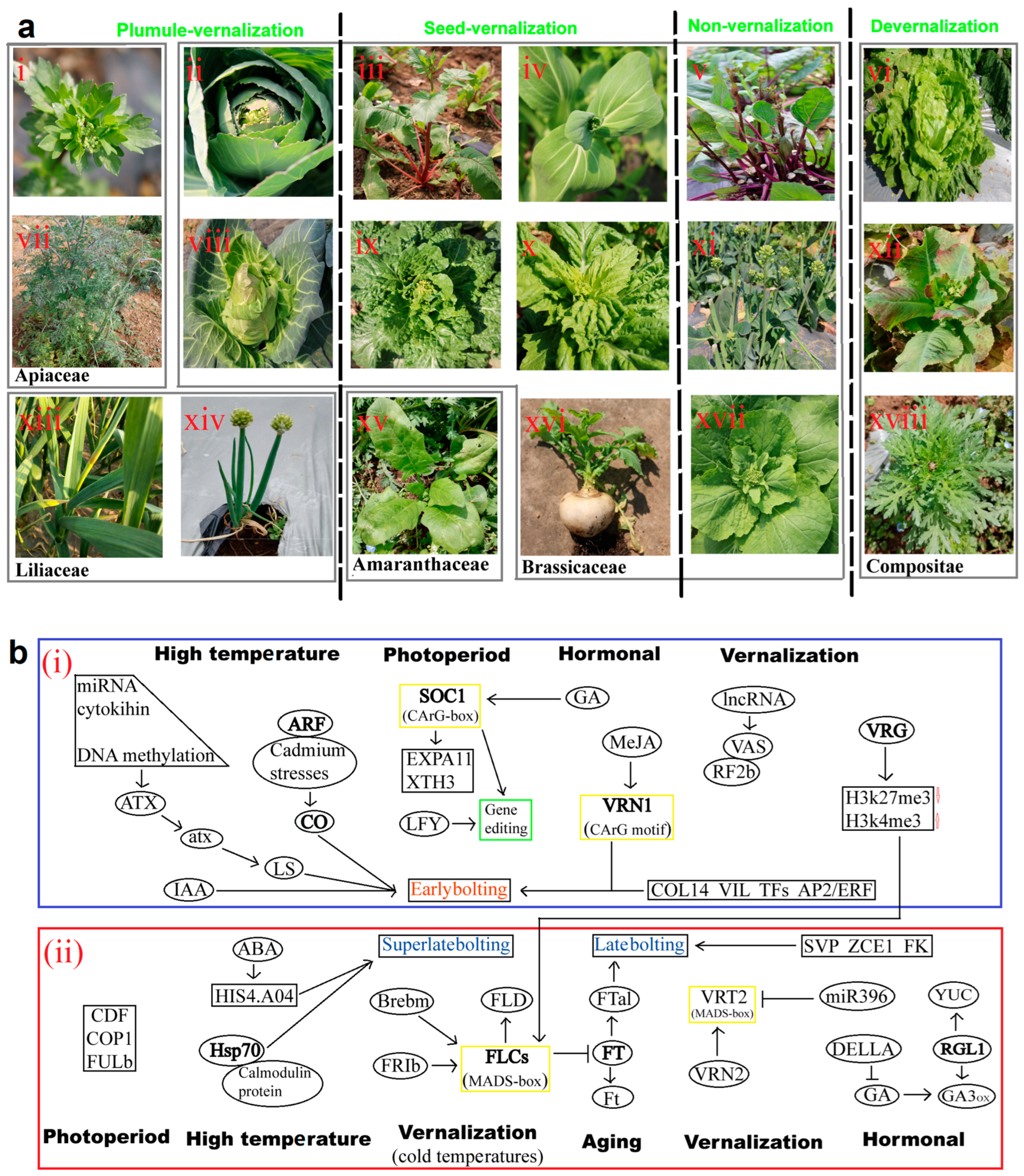 Horticulturae 10 00670 g001
