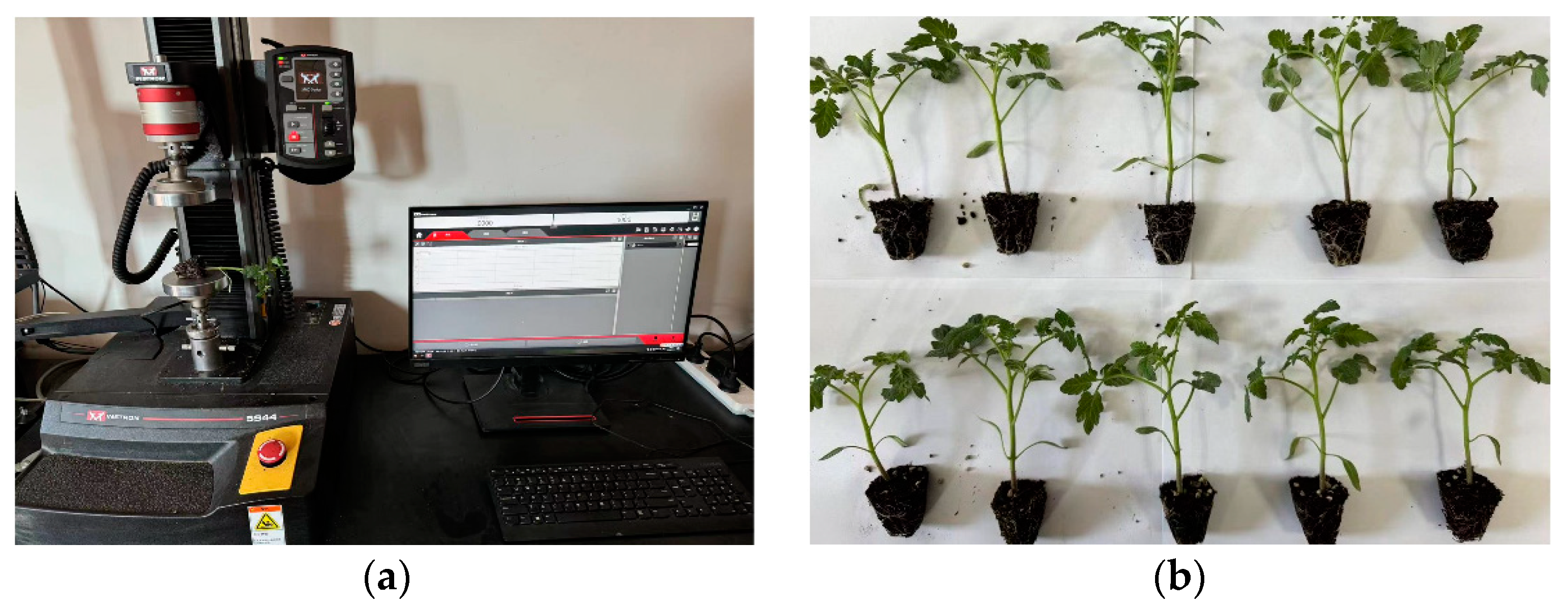 Horticulturae 10 00692 g006