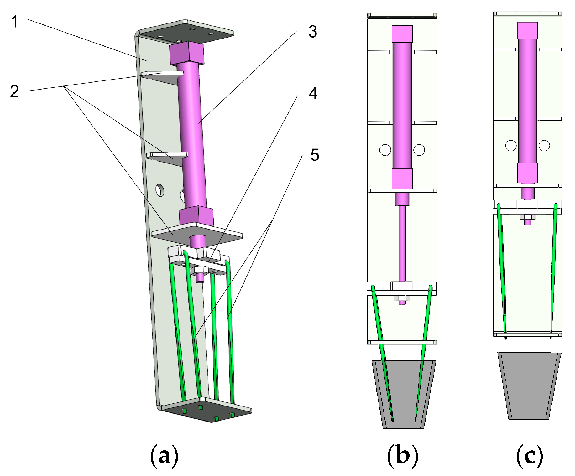 Horticulturae 10 00692 g007