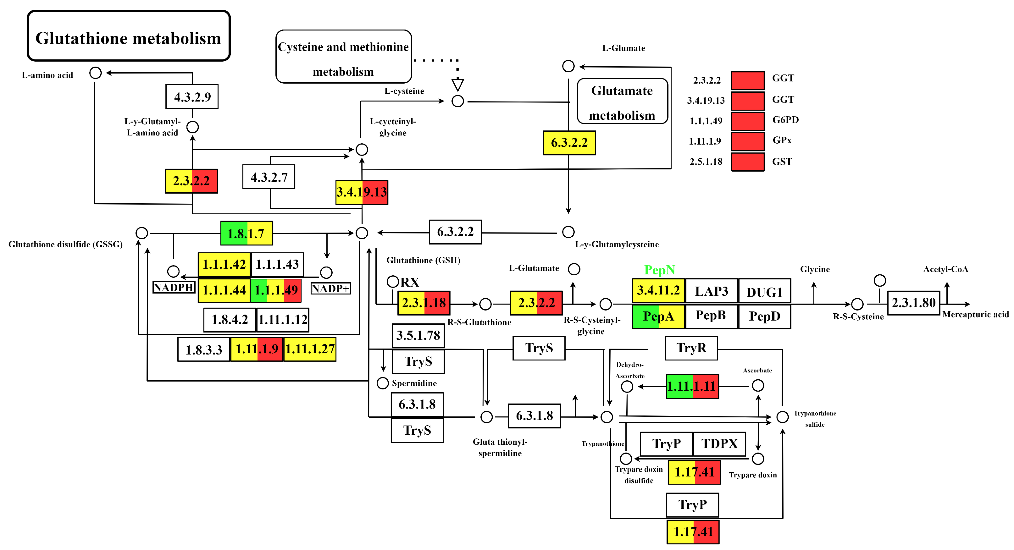 Horticulturae 10 00694 g010