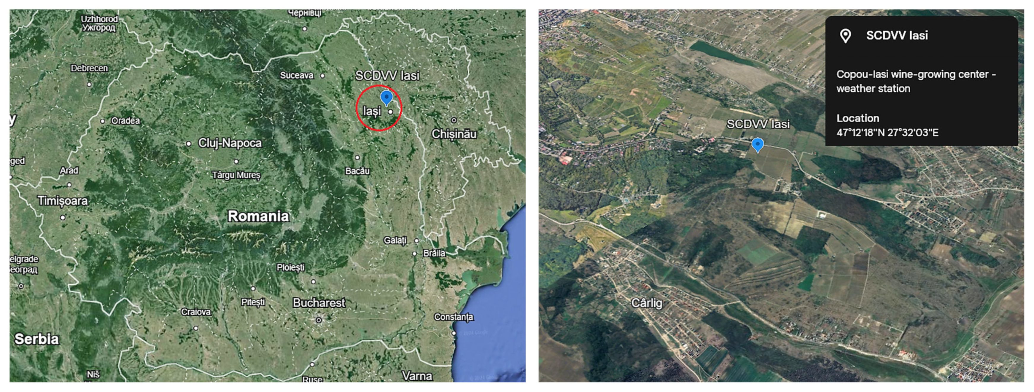 Horticulturae 10 00705 g001