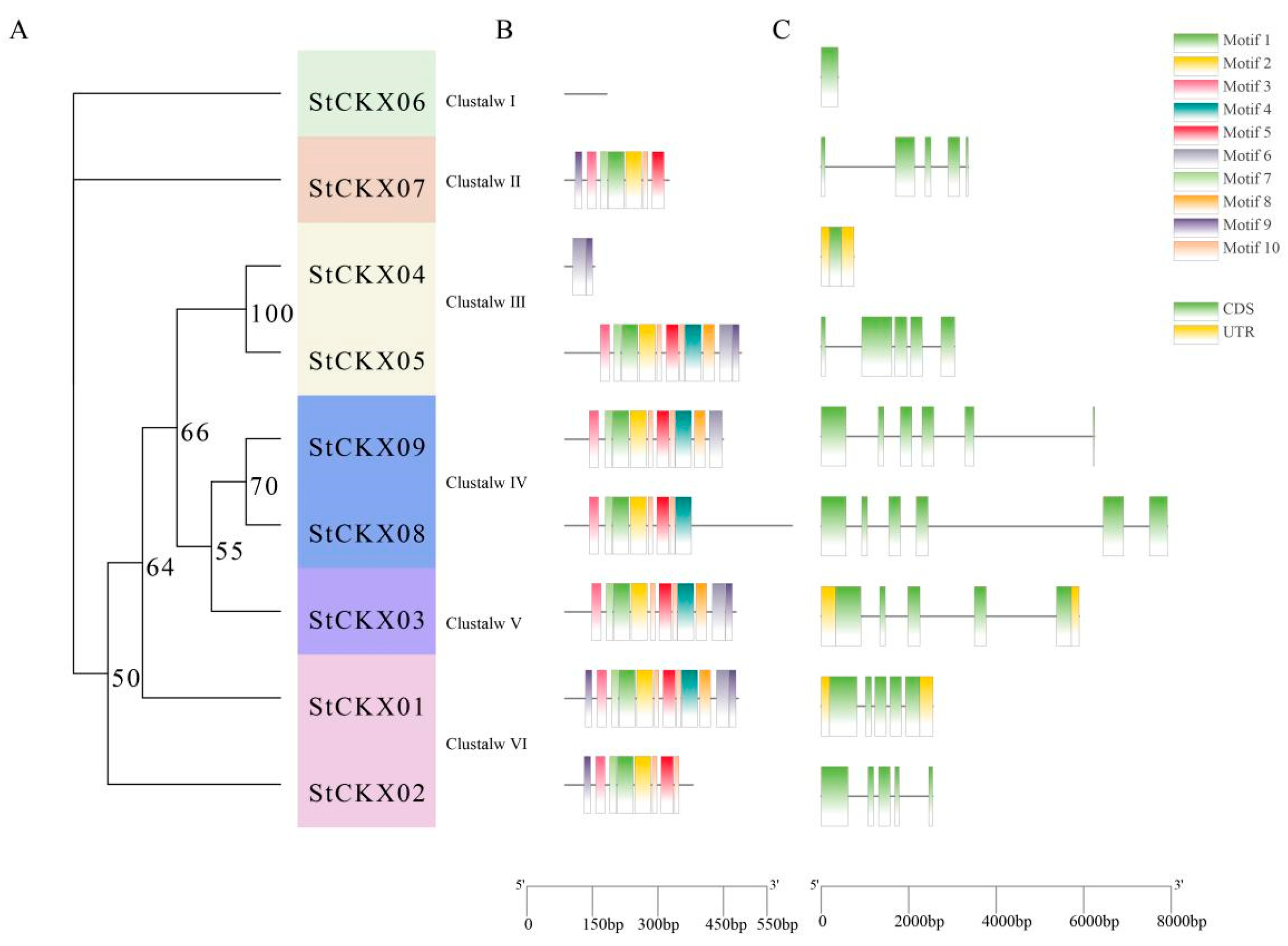 Horticulturae 10 00737 g003